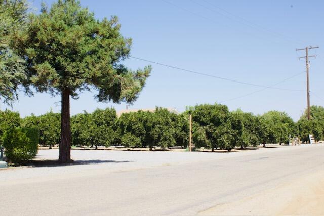 Lindsay, California, 93247, United States, 4 Bedrooms Bedrooms, ,2 BathroomsBathrooms,Residential,For Sale,1982770