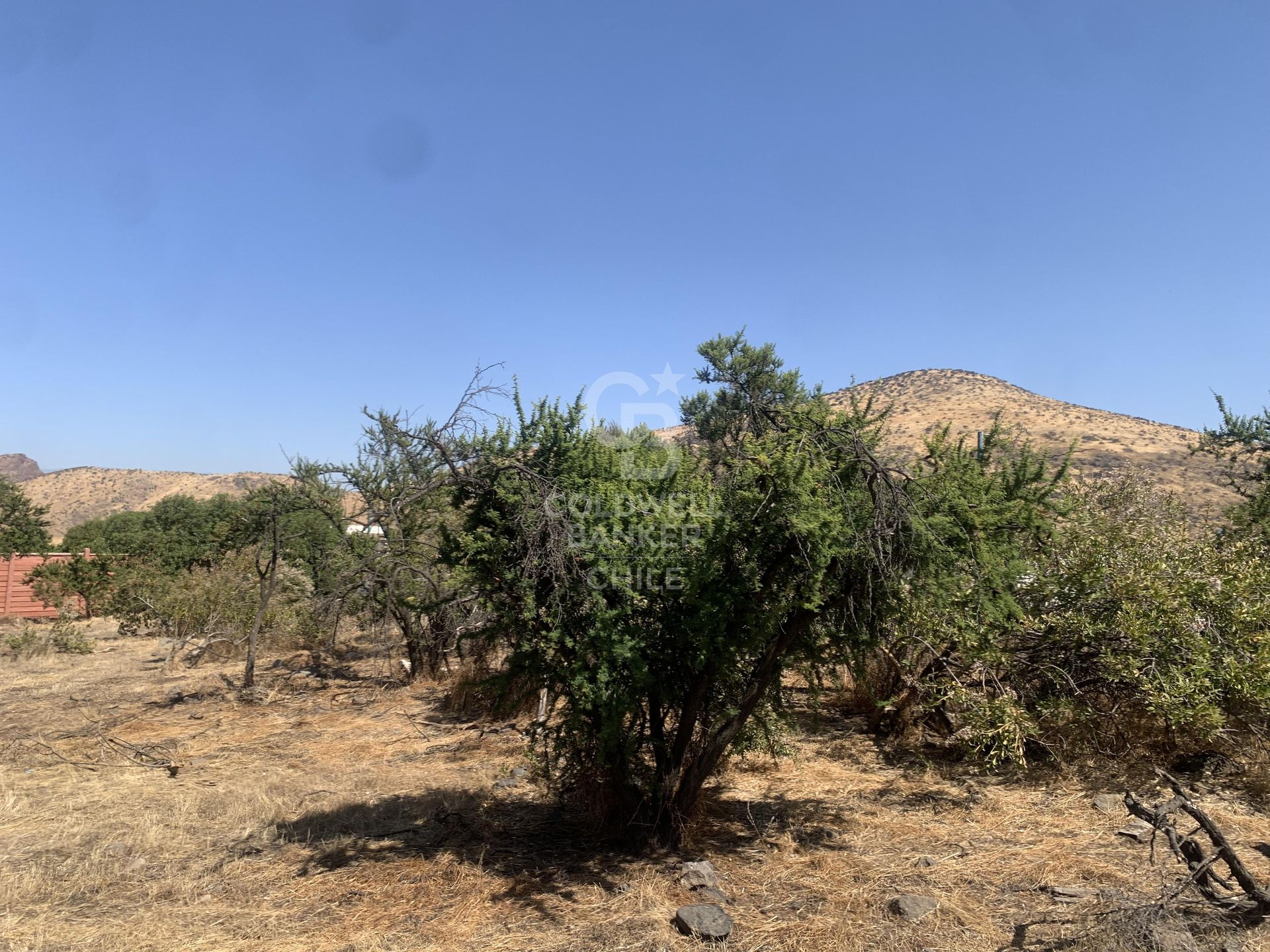 Colina, Chile, ,Land,For Sale,1696846