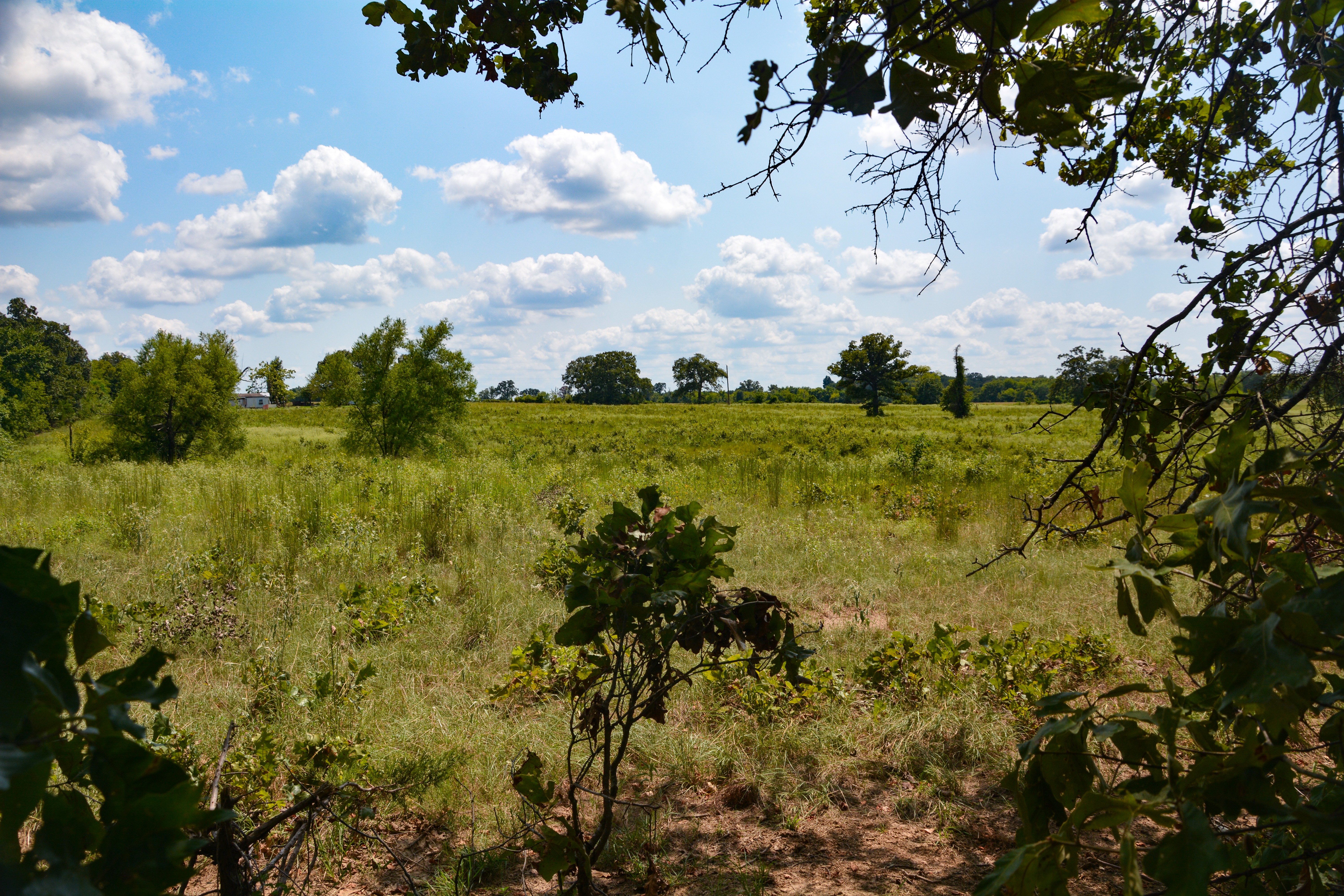 Grand Saline, Texas, 75140, United States, ,Residential,For Sale,1938420