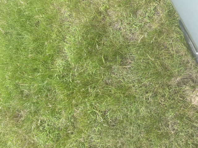 Holland, Texas, 76534, United States, ,Residential,For Sale,1994334