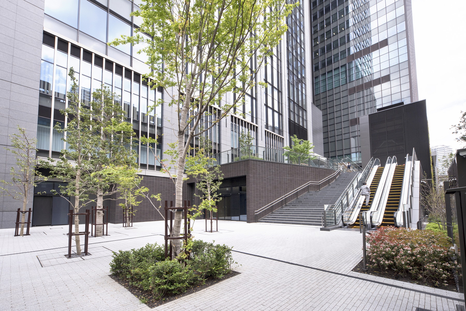  WORLD TOWER RESIDENE - 物件實景