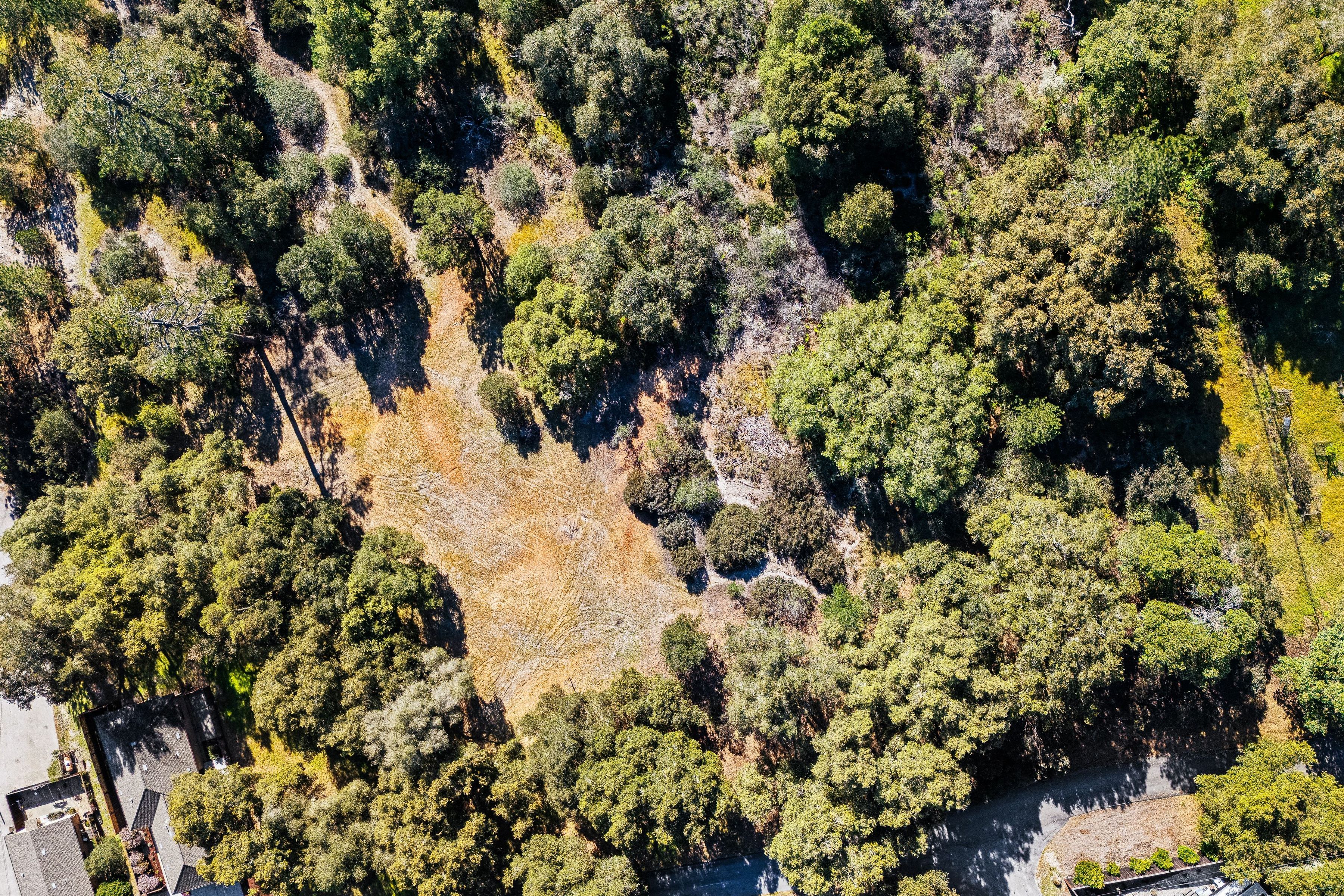  141 Whistler Court - 物件實景