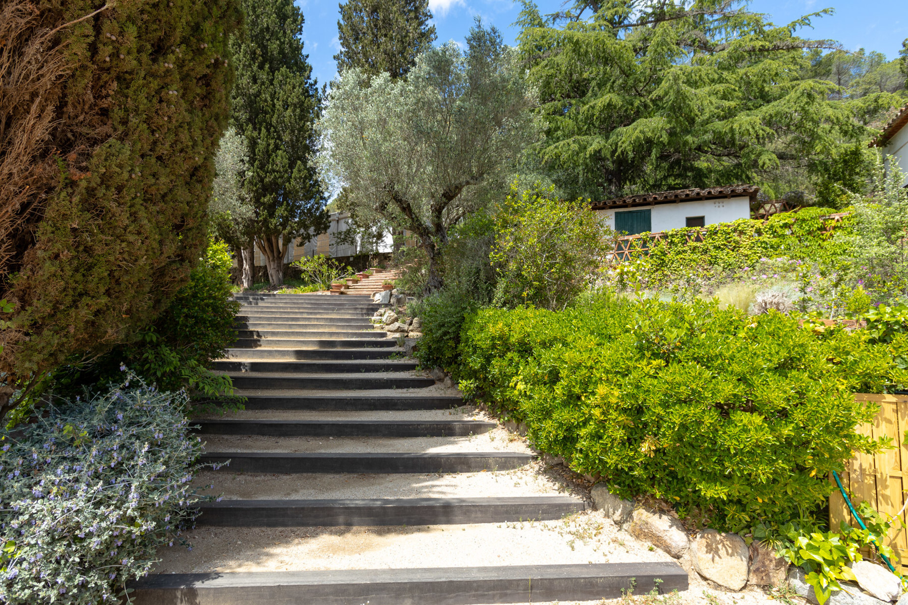  Architectural jewel of the XVI century in a natural park in Barcelona - 物件實景