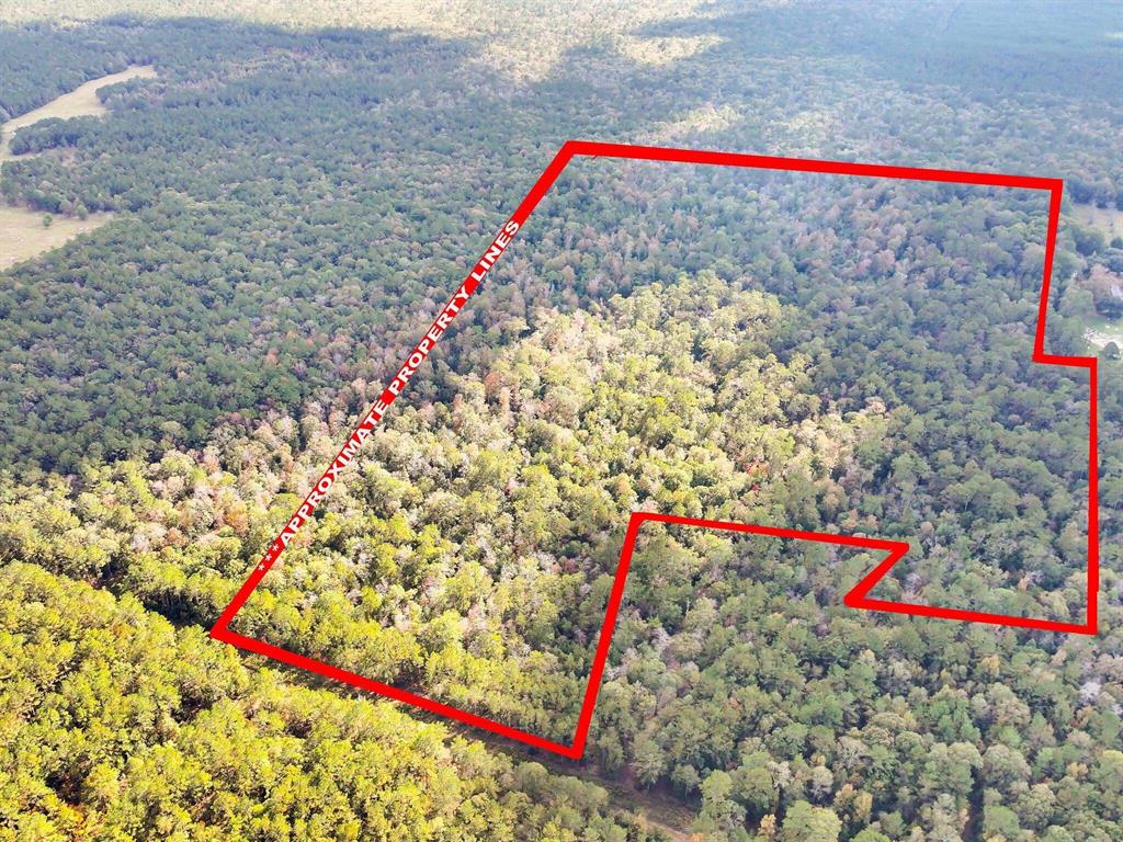 Kountze, Texas, 77652, United States, ,Land,For Sale,1995873