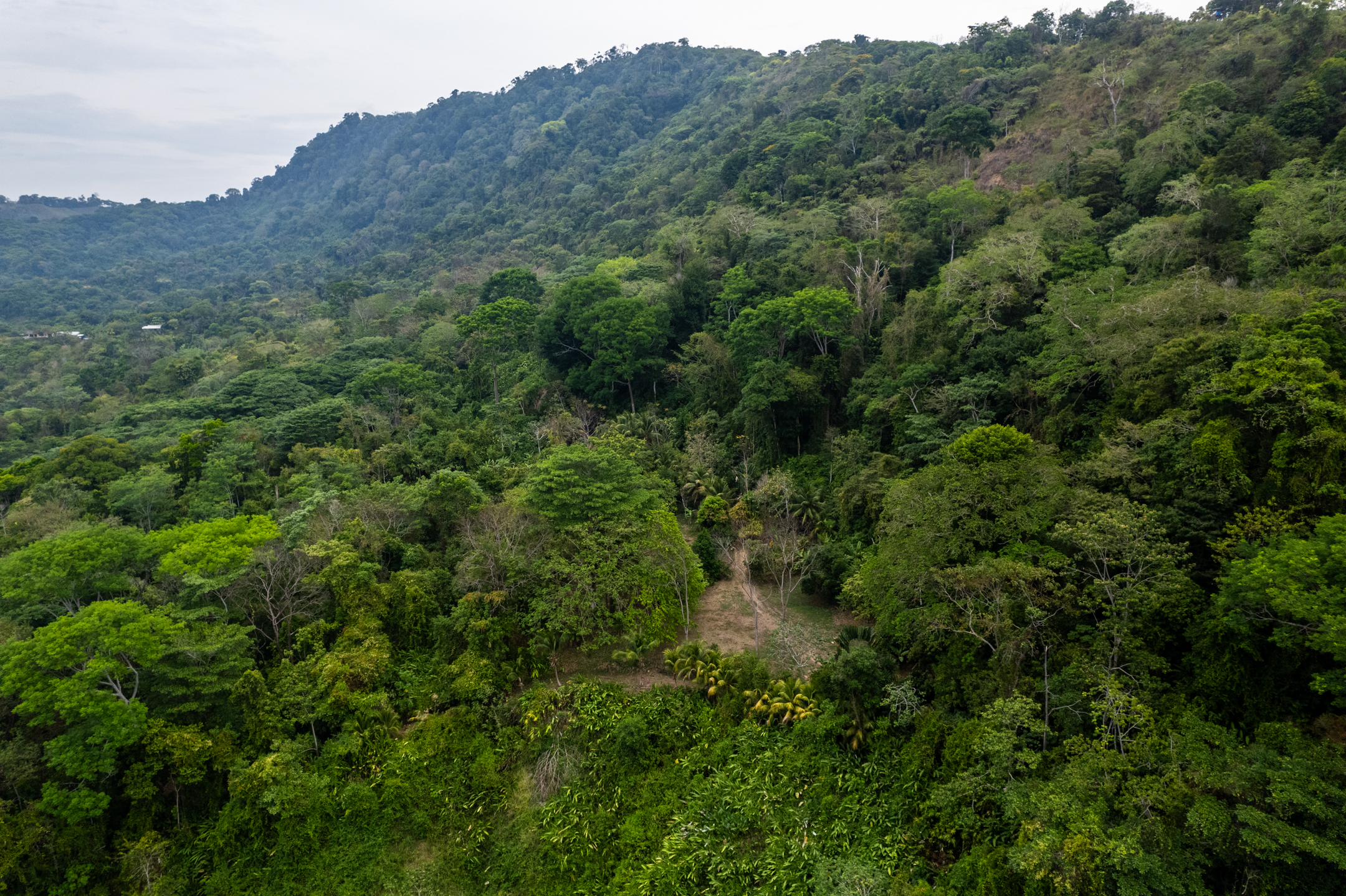 Lagunas, Dominical, Puntarenas, CR, 2 Bedrooms Bedrooms, ,1 BathroomBathrooms,Land,For Sale,Lagunas,1589118