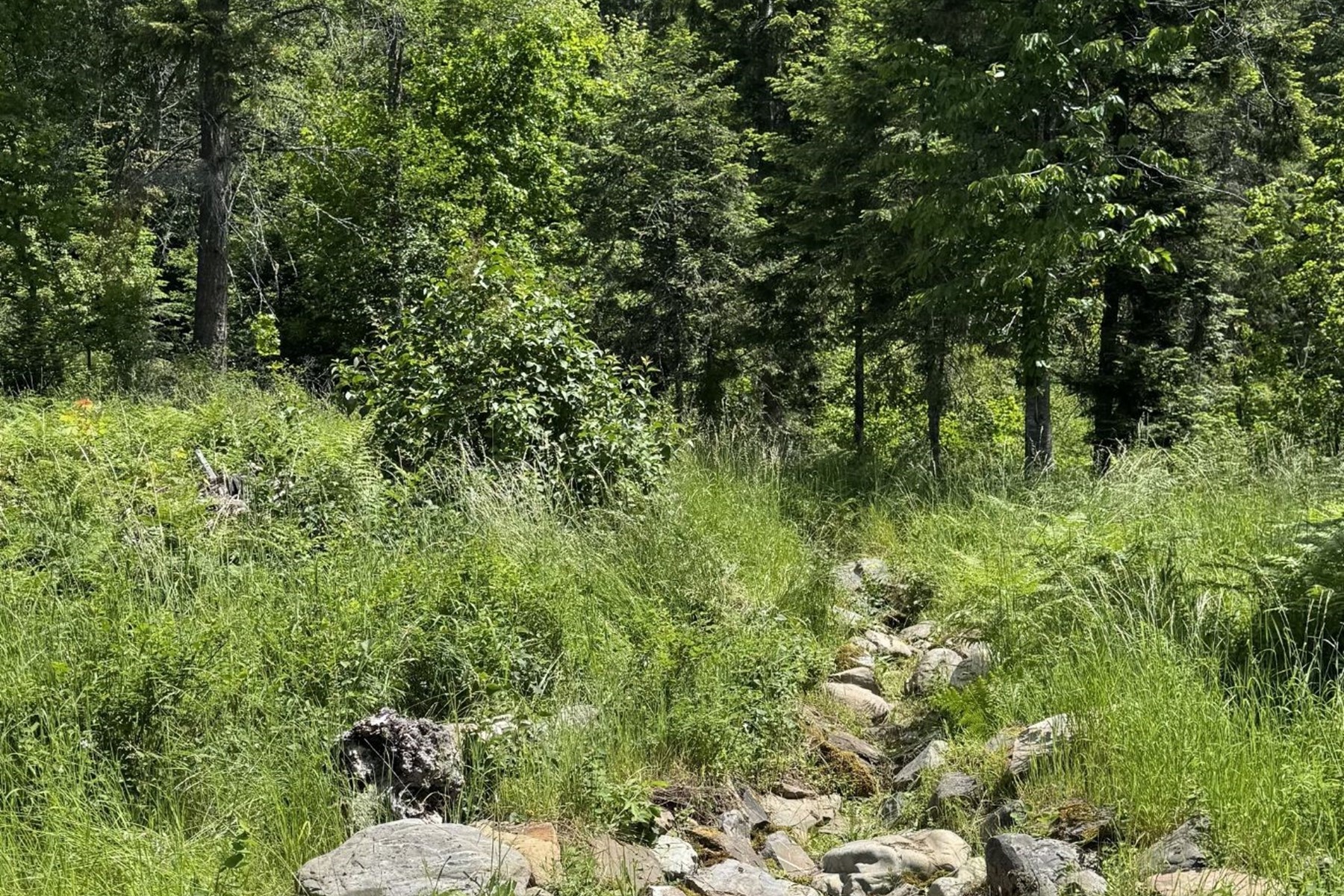  Lakeview 10 Acres in Hope Idaho - 物件實景