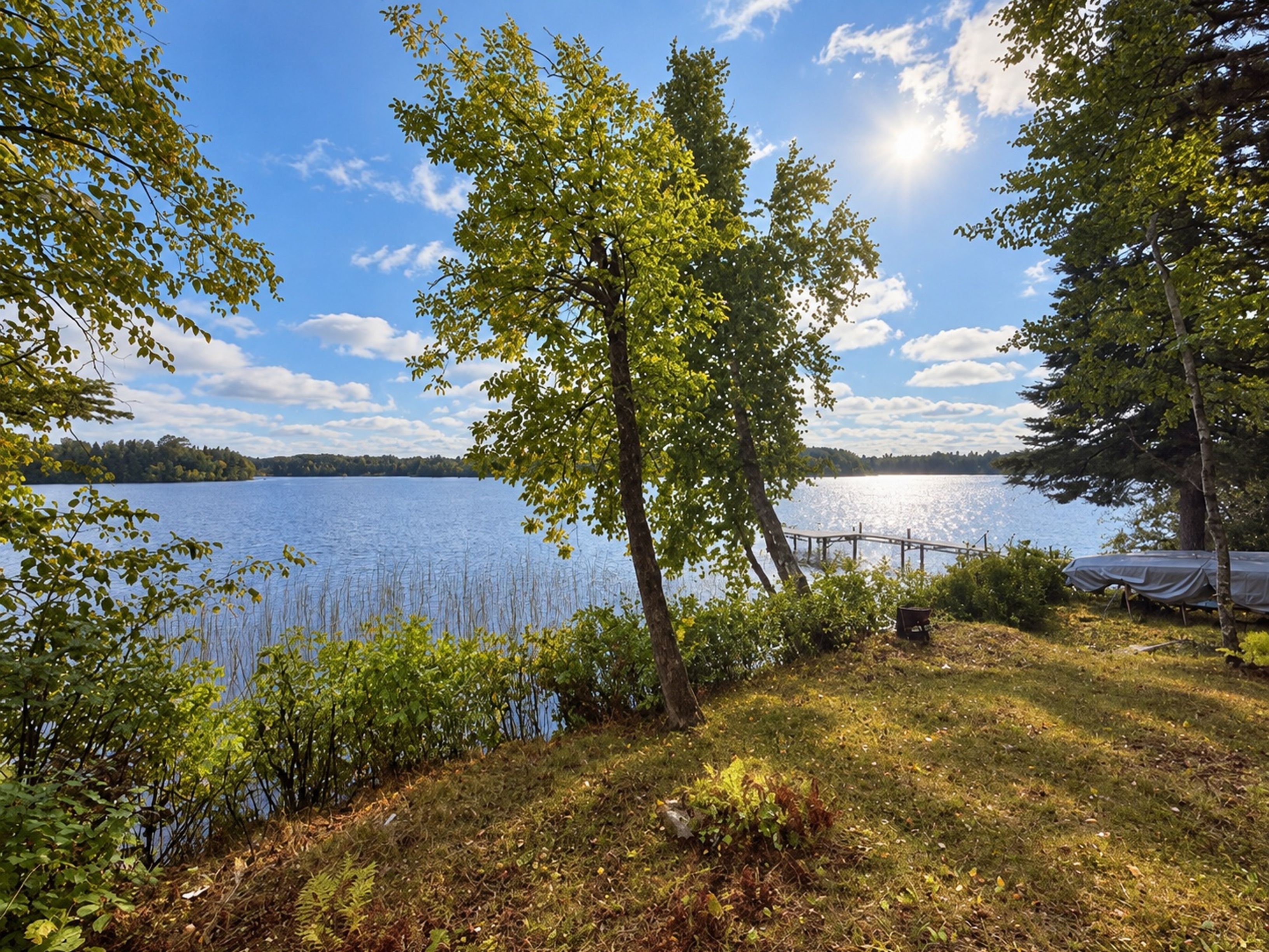  Private Northwoods Retreat on Hartley Lake - 物件實景