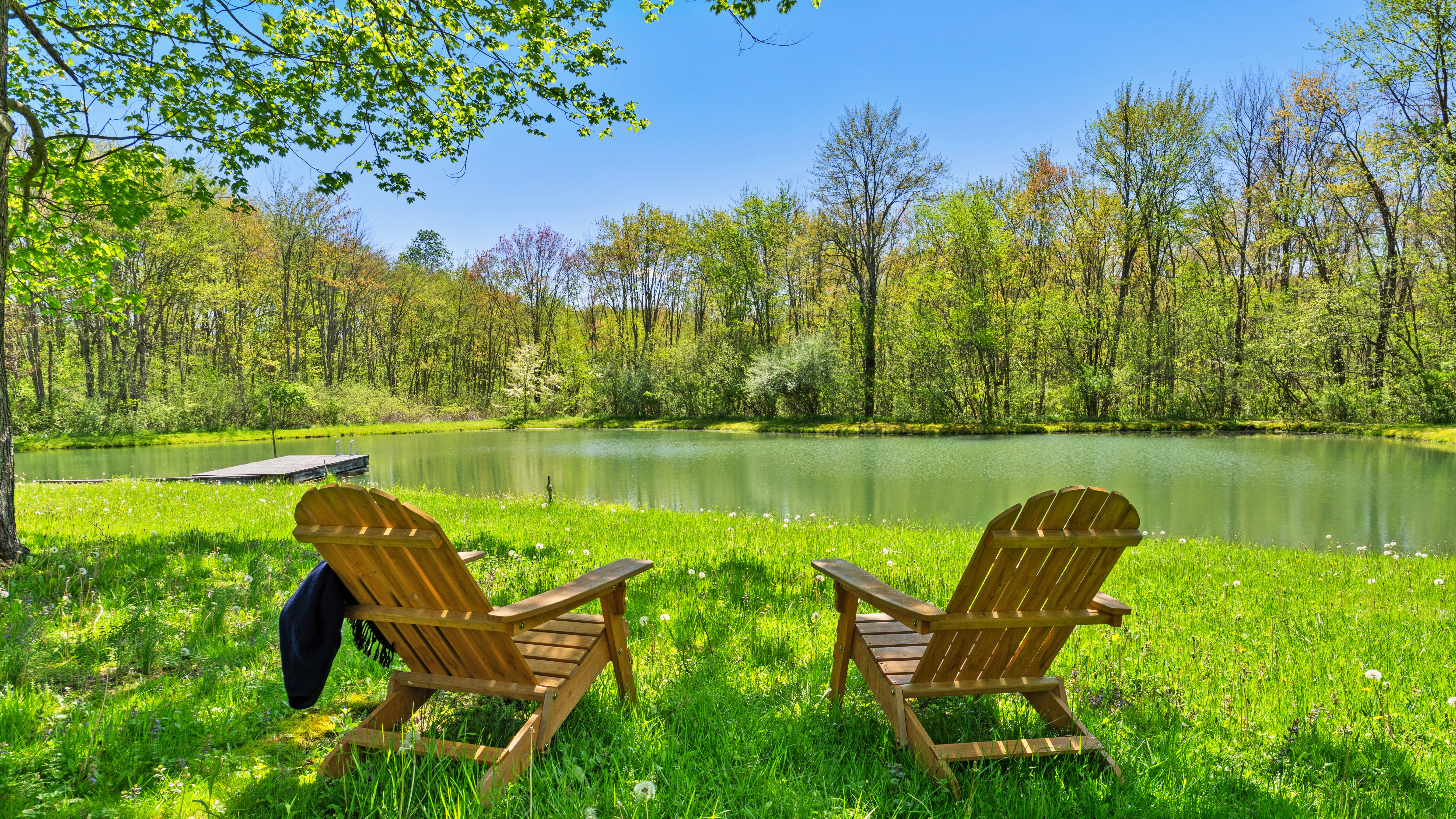  Modern Country Estate with Swim Pond near Chatham & Kinderhook - 物件實景
