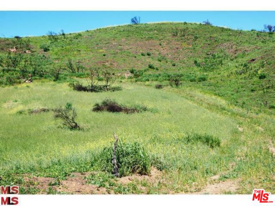 Malibu, California, 90265, United States, ,Land,For Sale,1767391