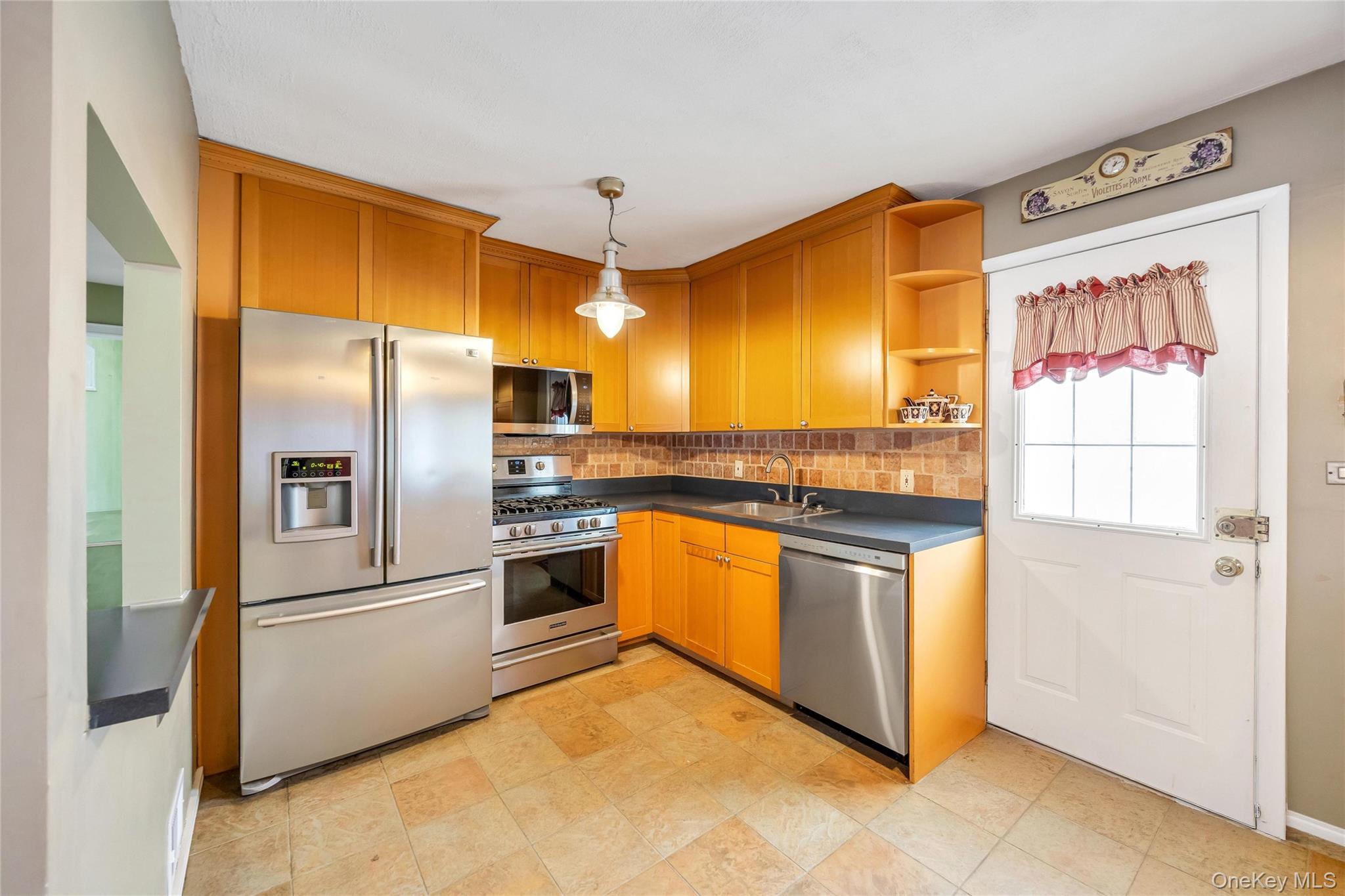 Briggs St, Hicksville, NY 11801 #1