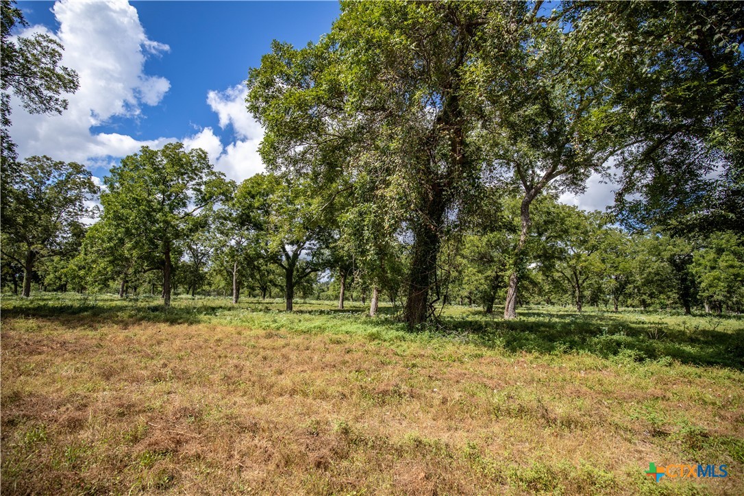 Cuero, Texas, 77954, United States, ,Residential,For Sale,1949163