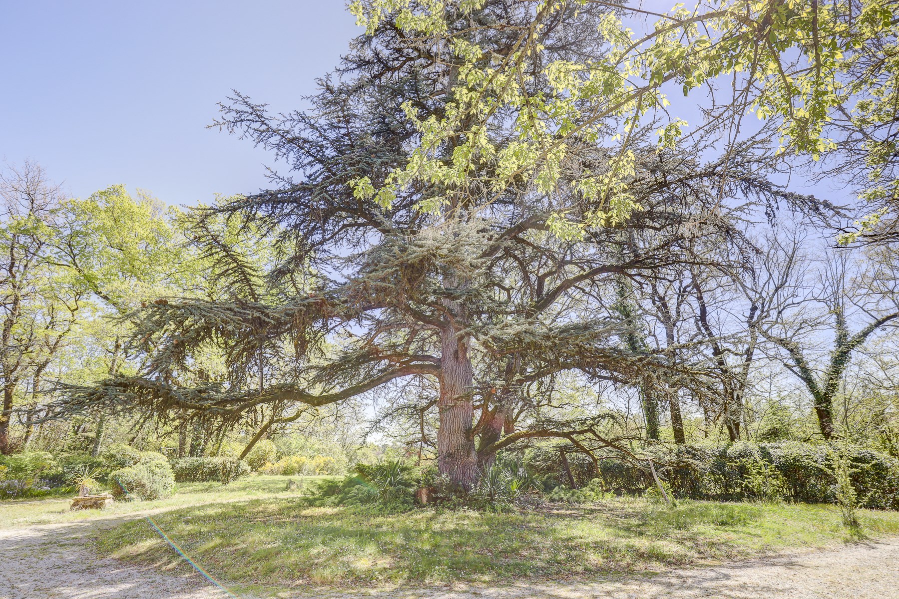  Maison de maître - 物件實景