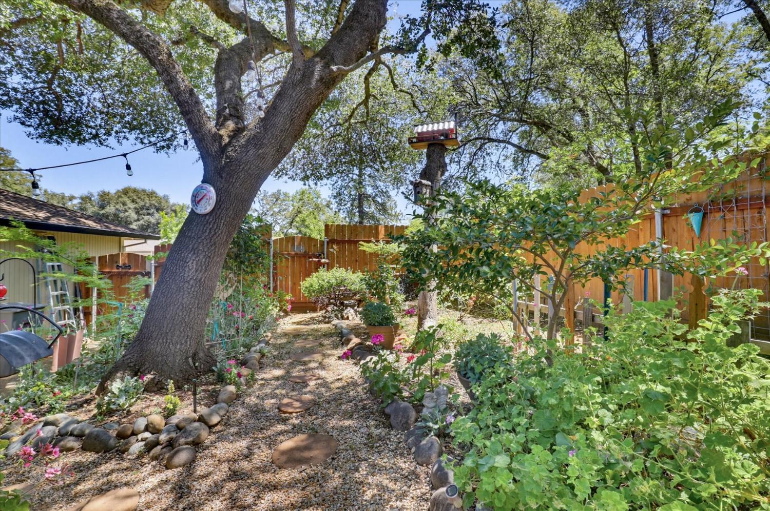 Auburn, California, 95602, United States, 4 Bedrooms Bedrooms, ,2 BathroomsBathrooms,Residential,For Sale,2048414