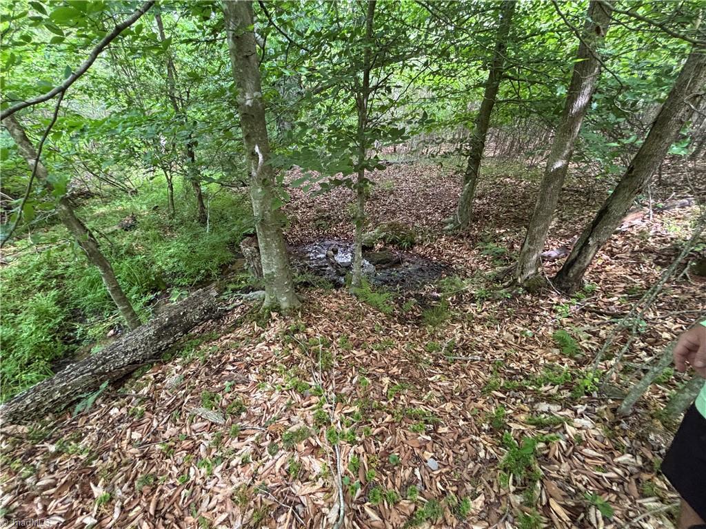 Pinnacle, North Carolina, 27043, United States, ,Land,For Sale,1829534