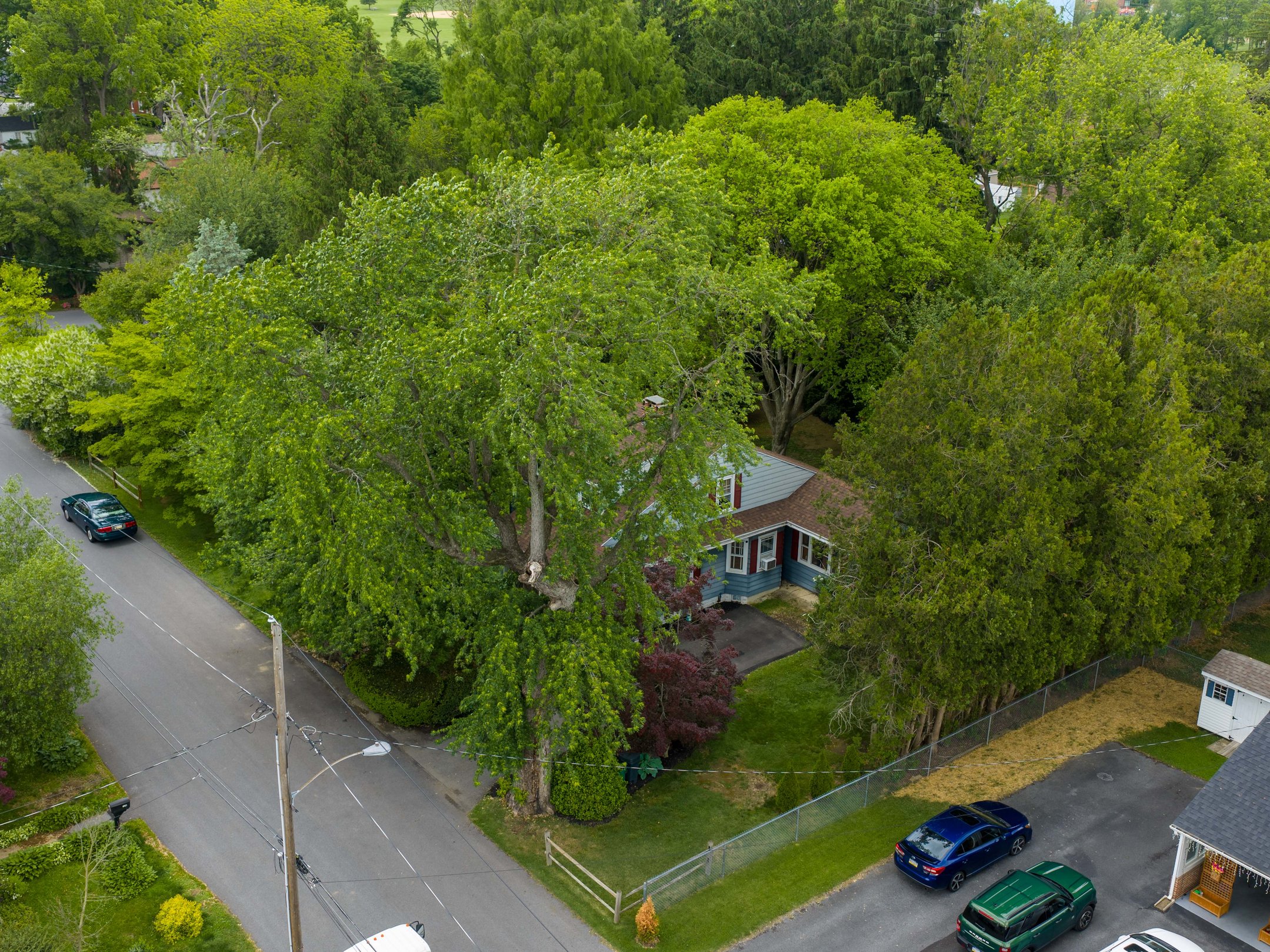  115 Grandview Ave - 物件實景