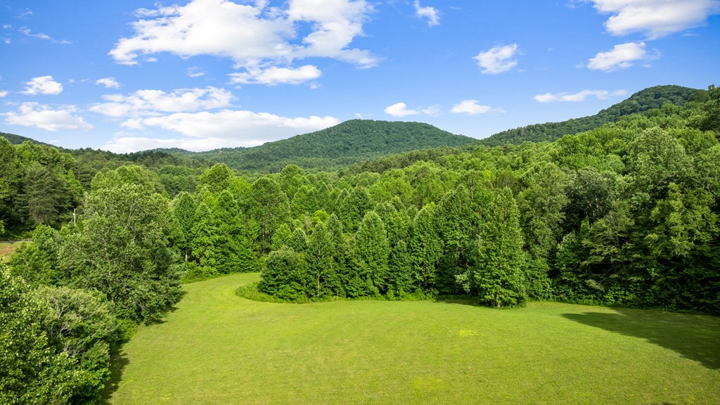 Blue Ridge, Georgia, 30513, United States, 3 Bedrooms Bedrooms, ,3 BathroomsBathrooms,Residential,For Sale,1974409