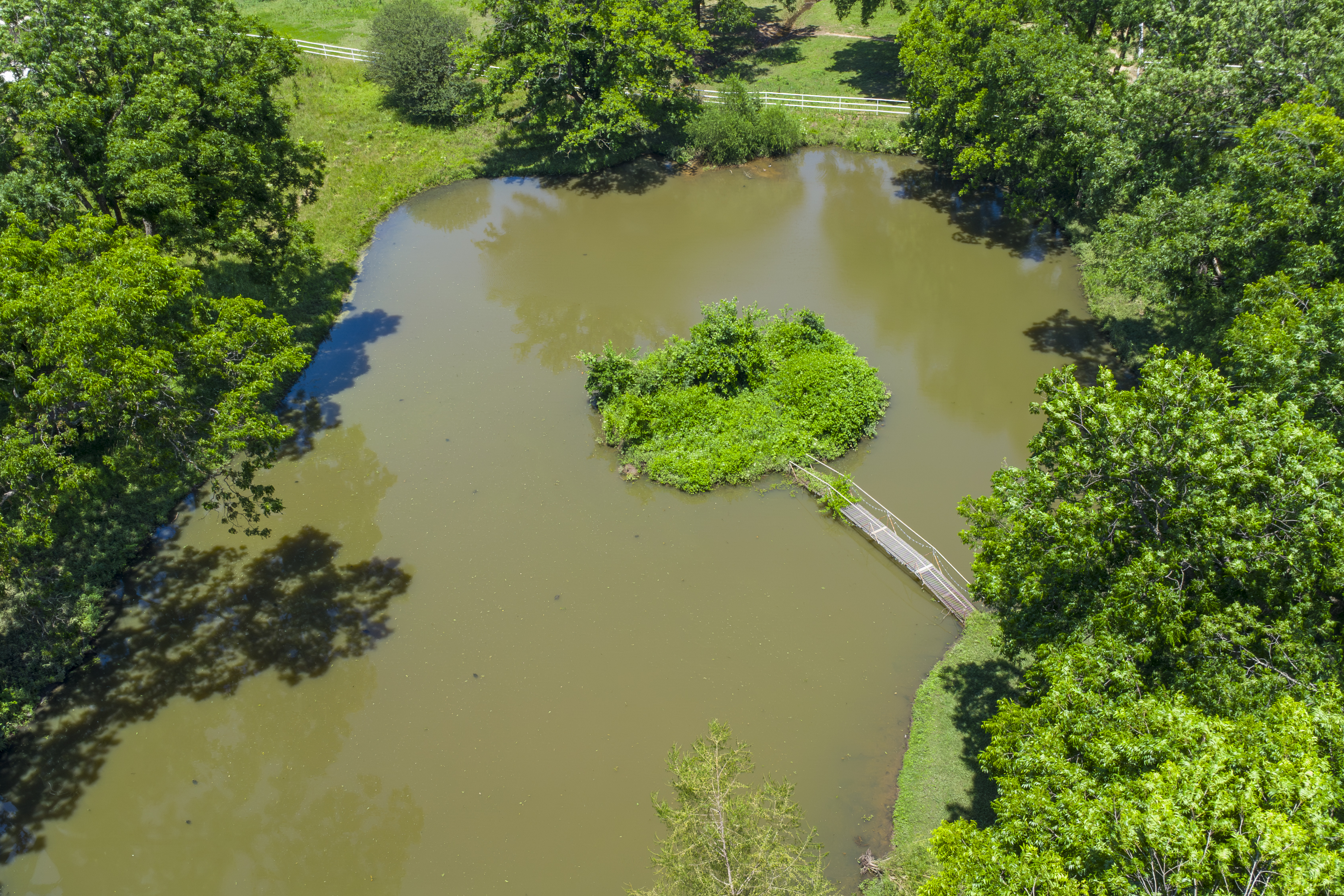  13301 South Lewis Avenue, Bixby, OK 74008 - 物件實景