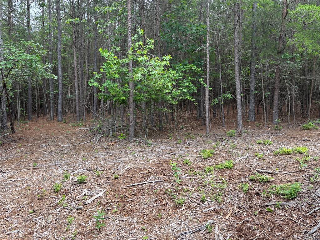 Pinnacle, North Carolina, 27043, United States, ,Land,For Sale,1829534
