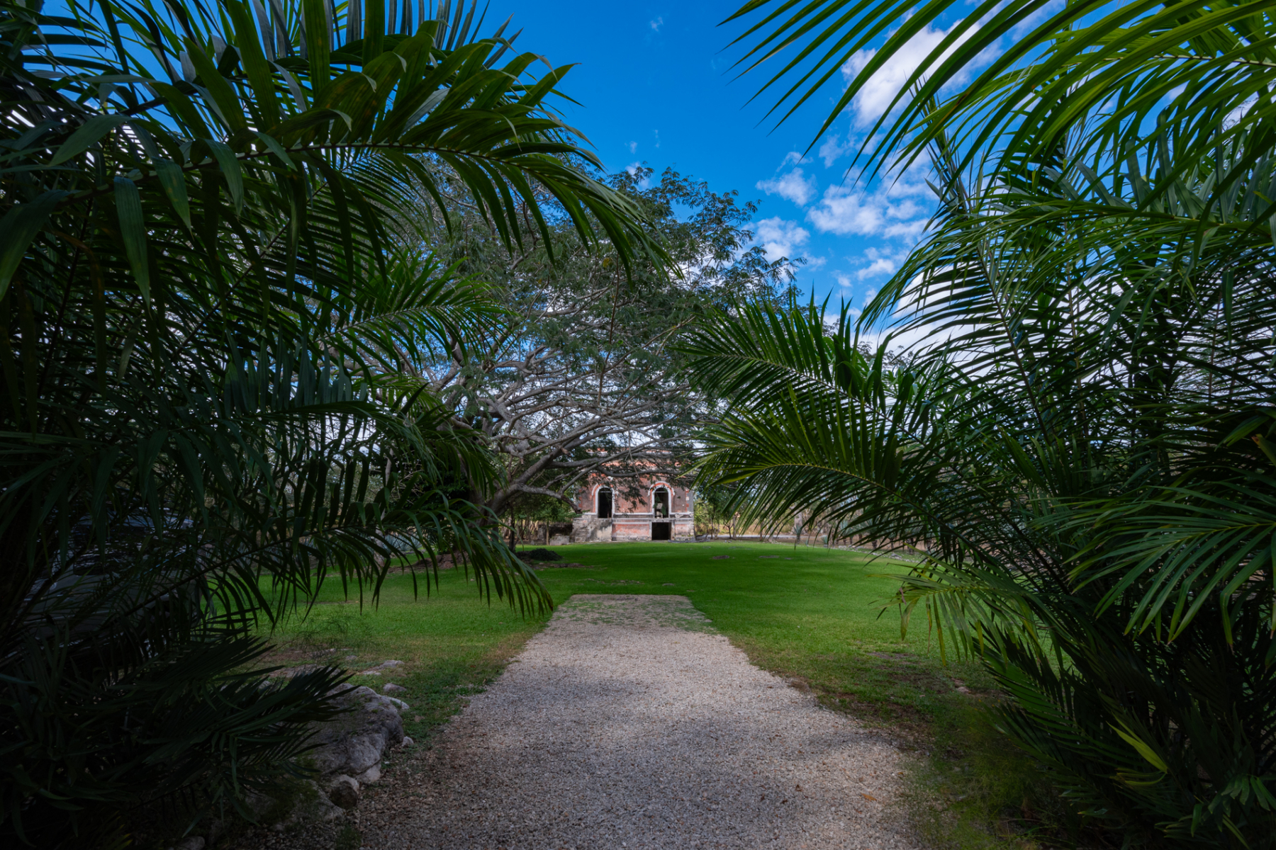  HACIENDA SERENITY OASIS RETREAT IN YUCATAN - 物件實景