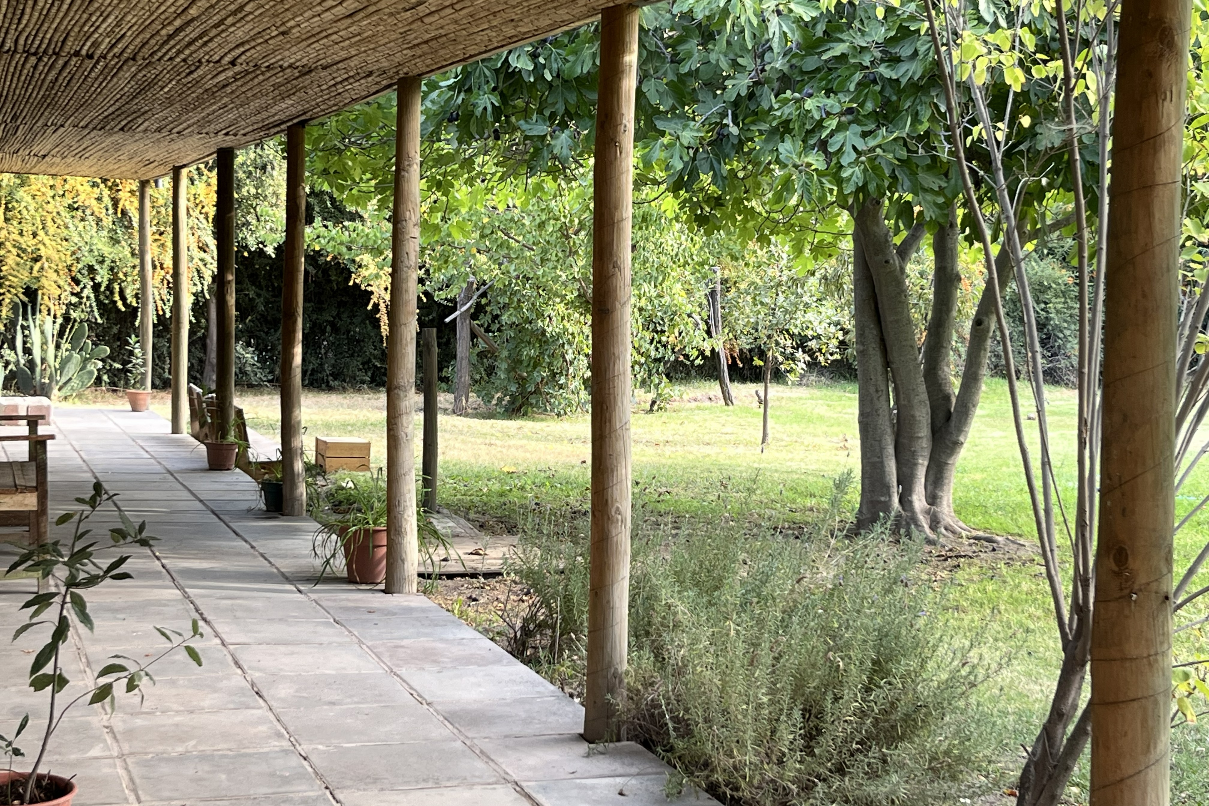  Two Houses within a Century-Old Park on a 1-Hectare Estate in Pirque - 物件實景