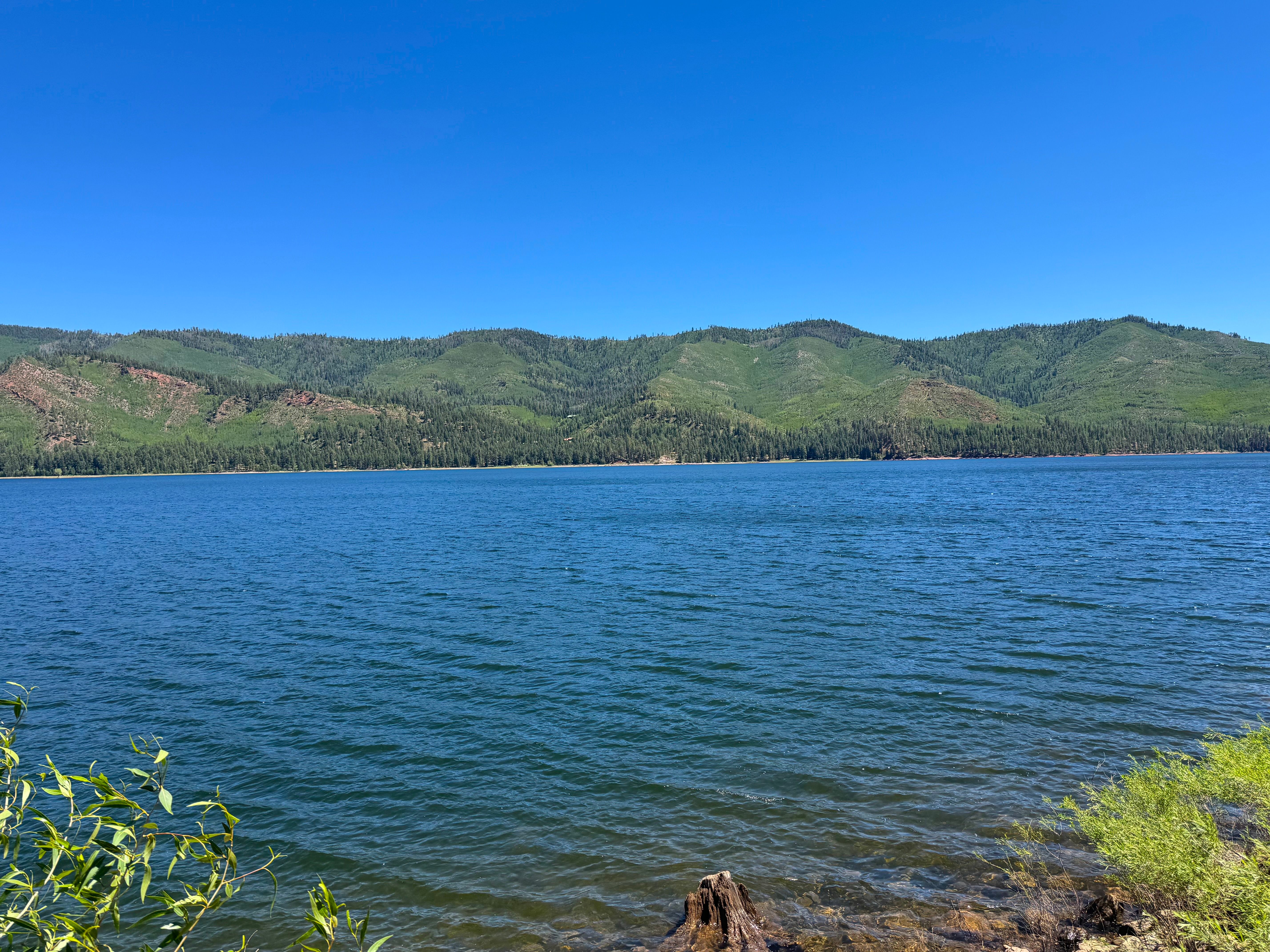 14564 County Road 501, Bayfield, CO 81122 - 物件實景