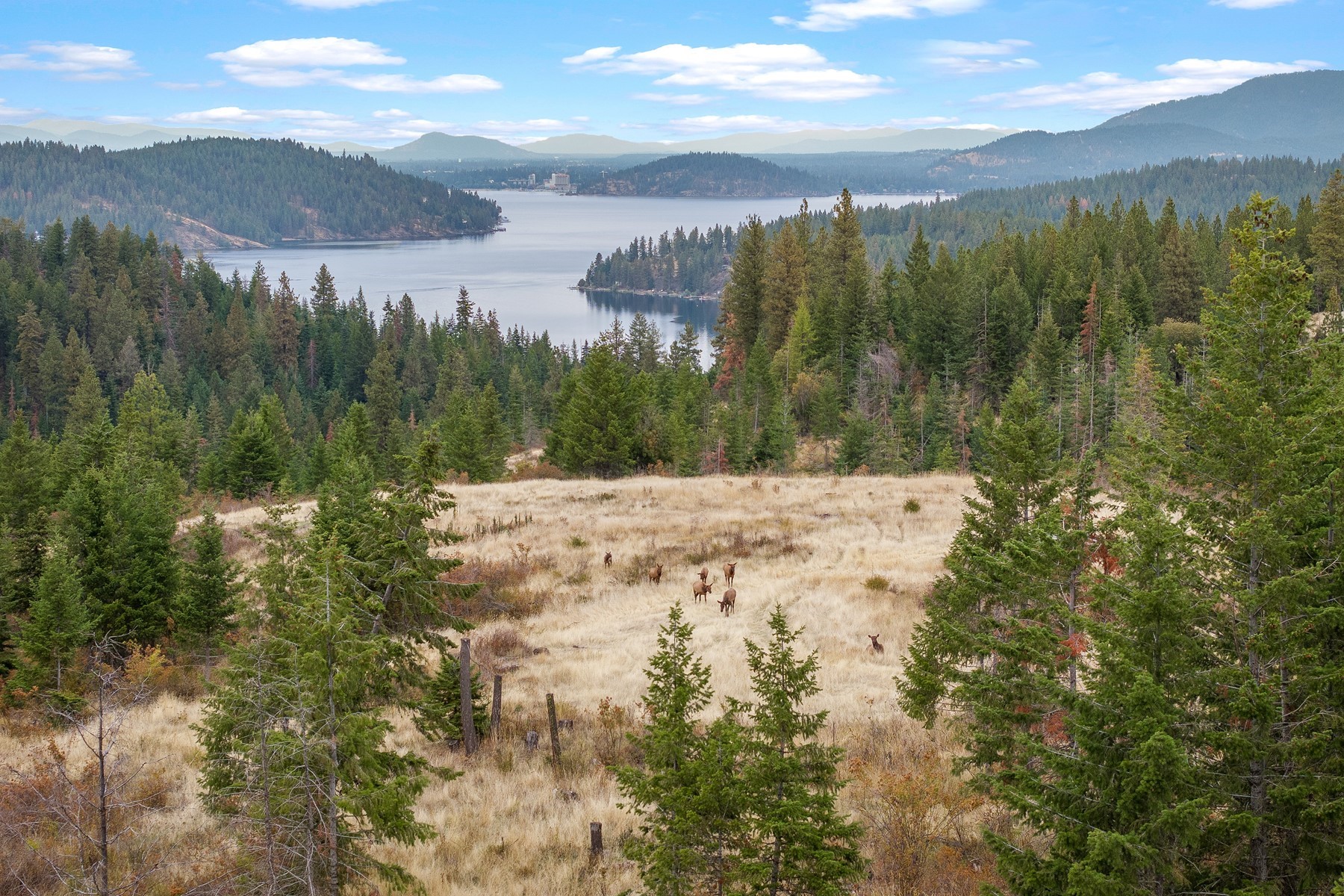  Large acreage with stunning lake views - 物件實景