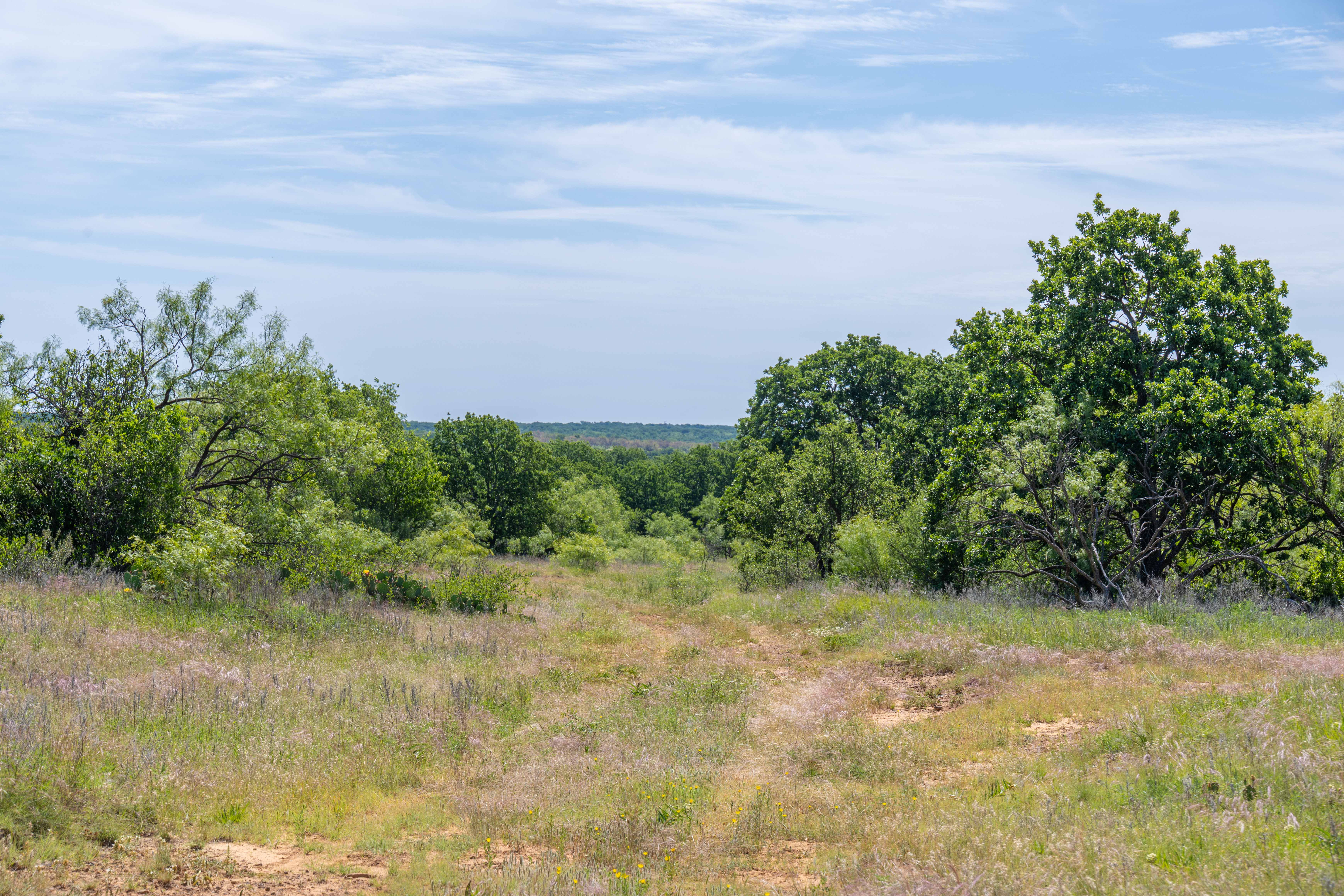  7582 Fm 2652, Loving, TX, 76460 - 物件實景