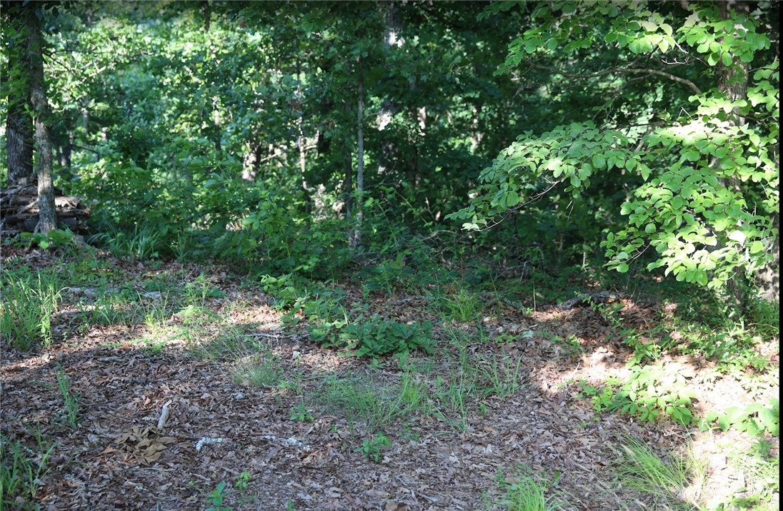 Thaxted Dr, Bella Vista, AR 72715