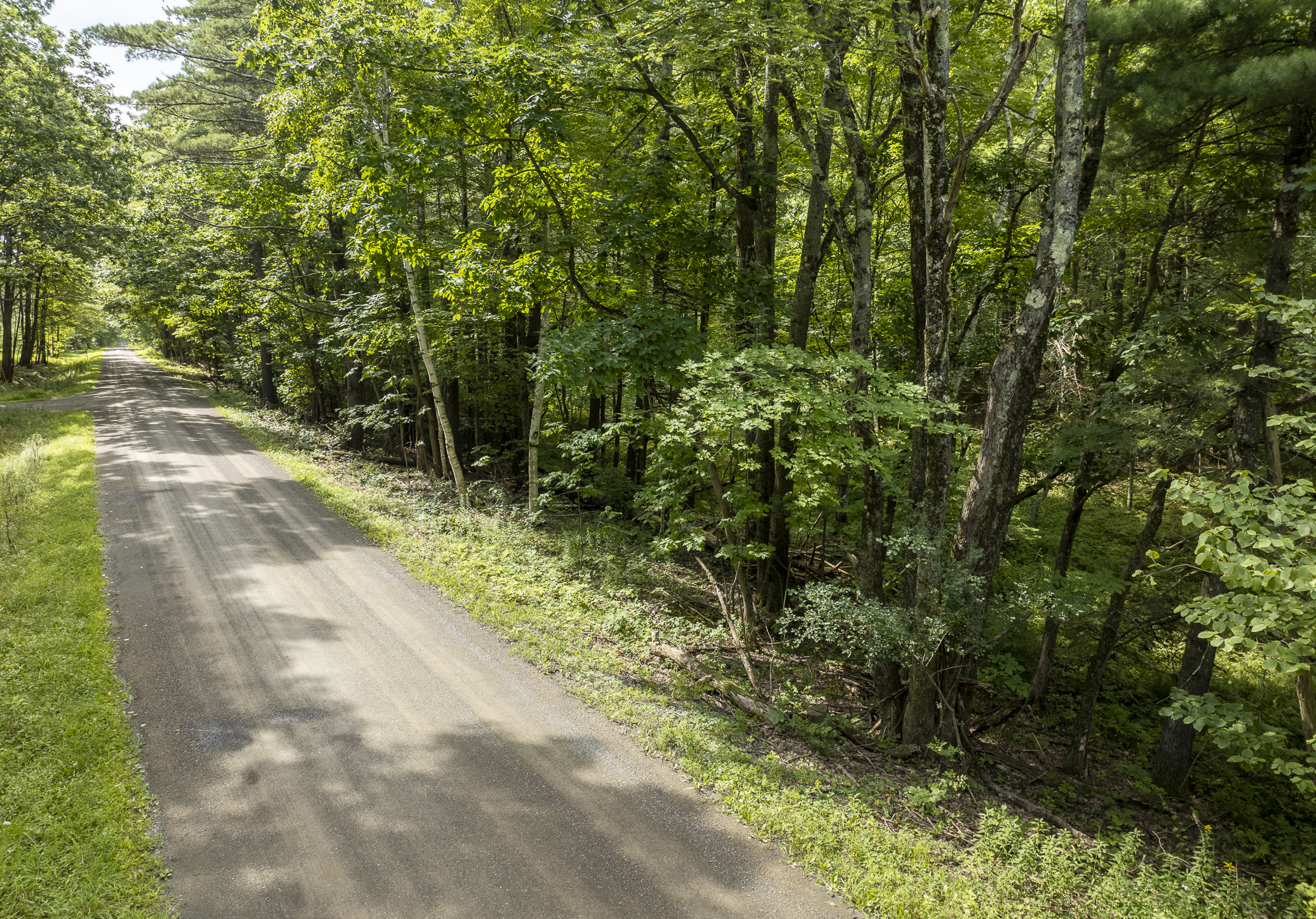  1,180+ Feet of Frontage: Privacy & Seclusion within Easy Reach of the Berkshires - 物件實景