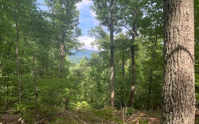 Jasper, Georgia, 30143, United States, ,Residential,For Sale,1916638