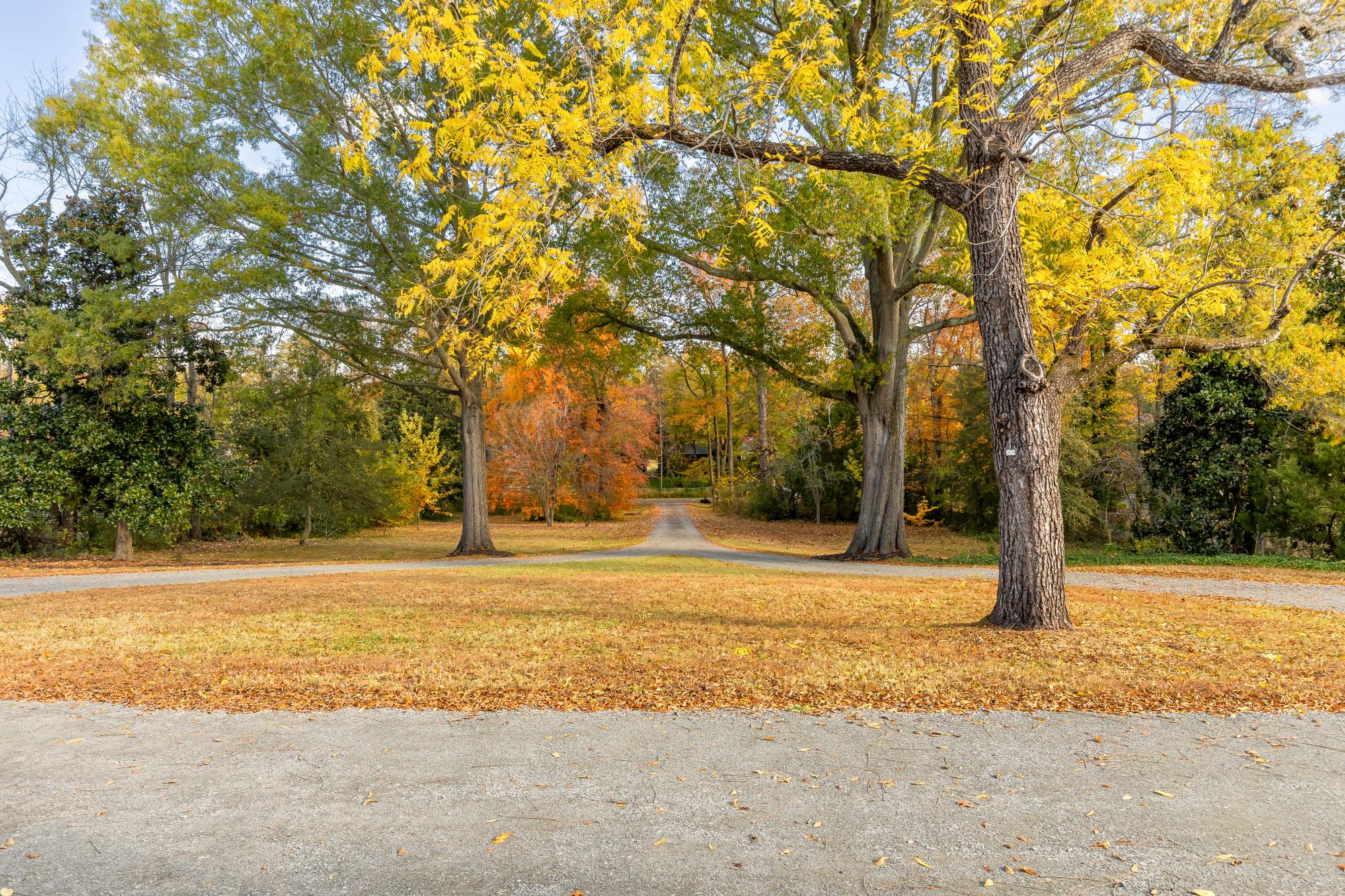  4509 Carlby Lane, Alexandria, VA, 22309 - 物件實景