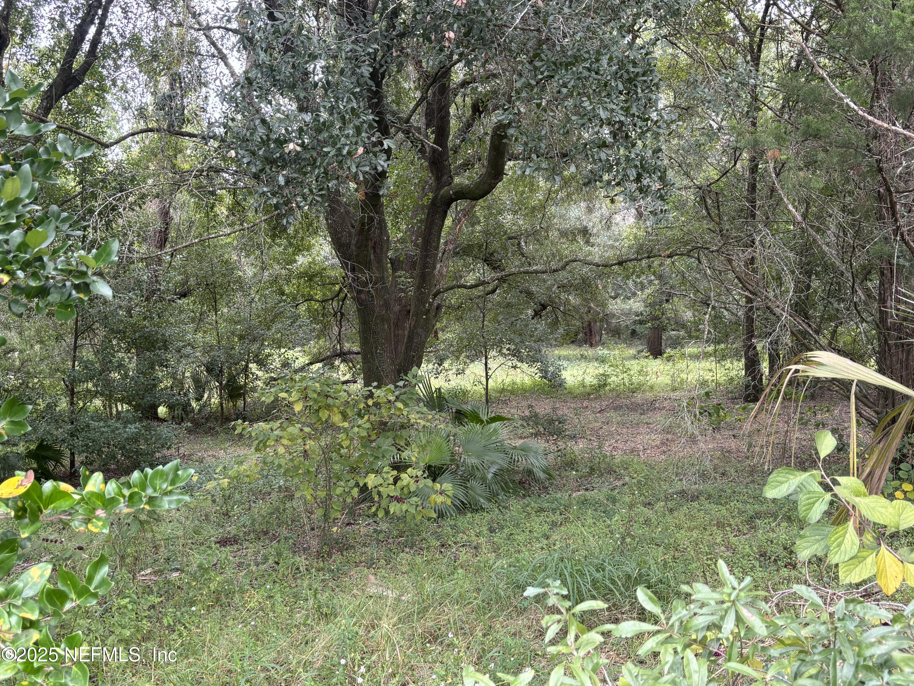 Apopka, Florida, 32712, United States, ,Land,For Sale,2003118