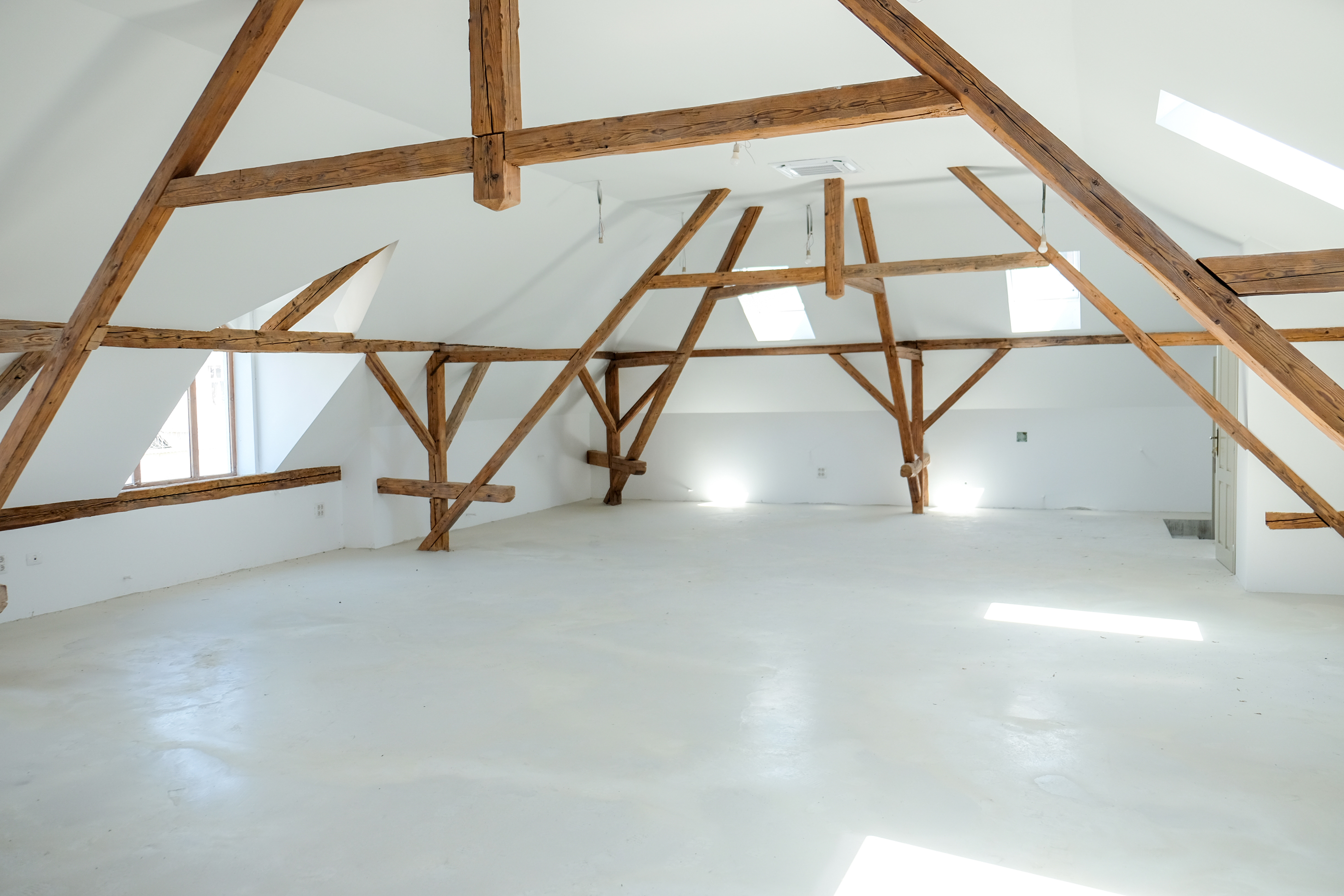  2 Renovated Versatile Buildings in Timioara’s Historic Center - 物件實景