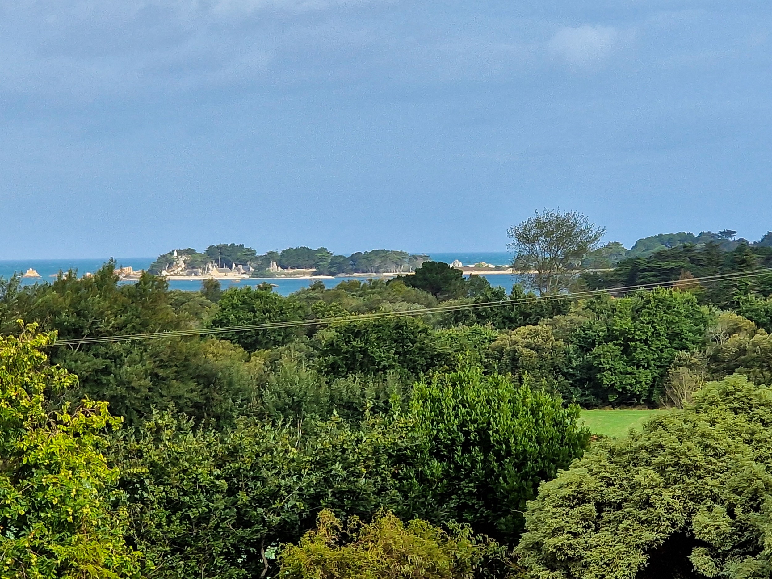  Marvellous property with a 5 acres park overlooking the sea bewteen Buguélès an… - 物件實景