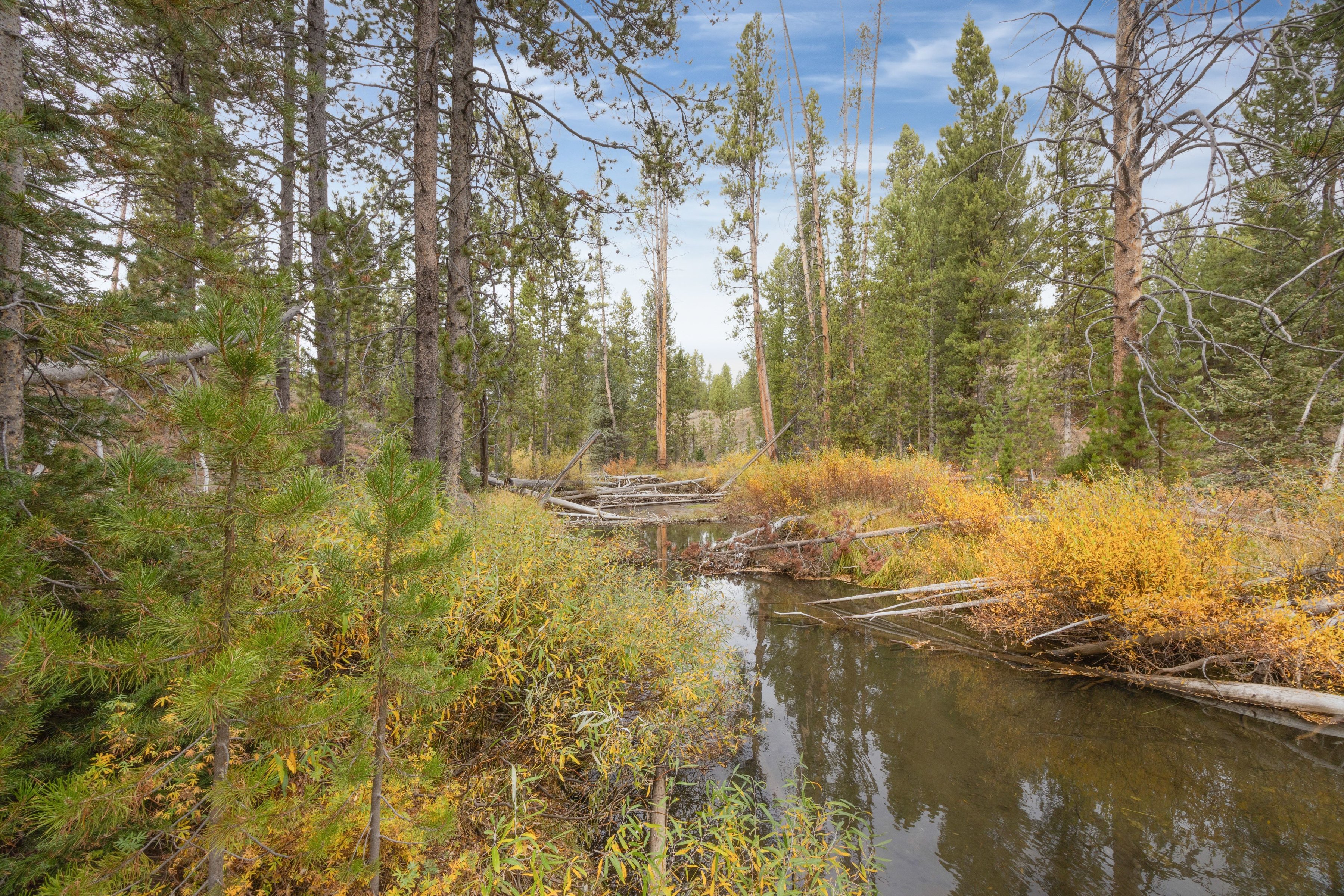  A Rare Creekside Retreat In The Sawtooths - 物件實景