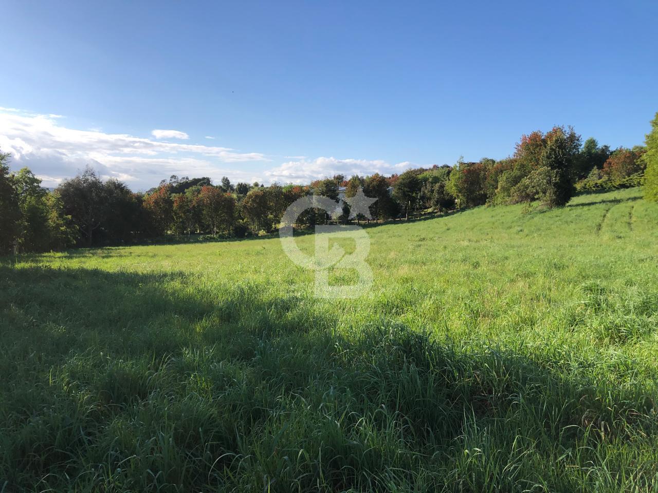 Puerto Varas, Chile, ,Residential,For Sale,1986771