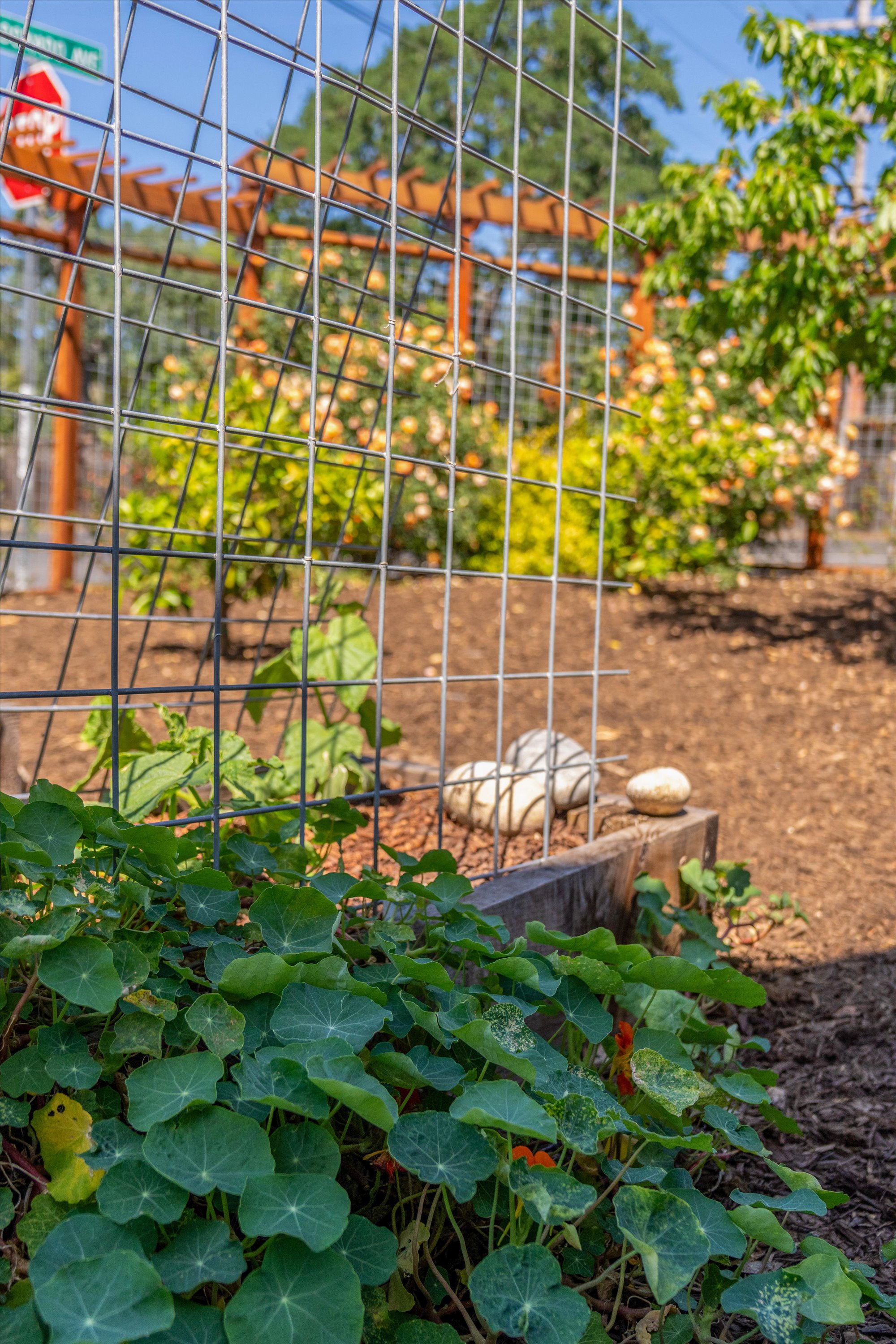  18428 4th  Avenue - 物件實景