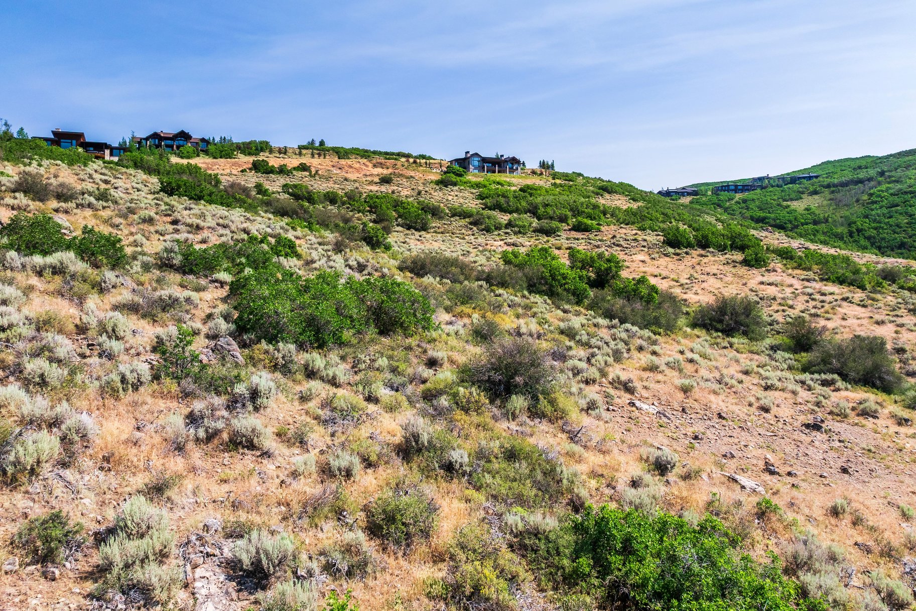  Deer Vista Homesite with Habitations Building Plans and Jaw-Dropping Views - 物件實景
