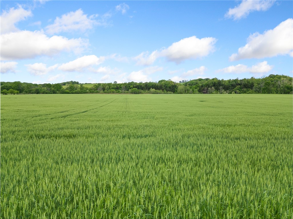 Alpena, Arkansas, 72611, United States, ,Land,For Sale,1903921