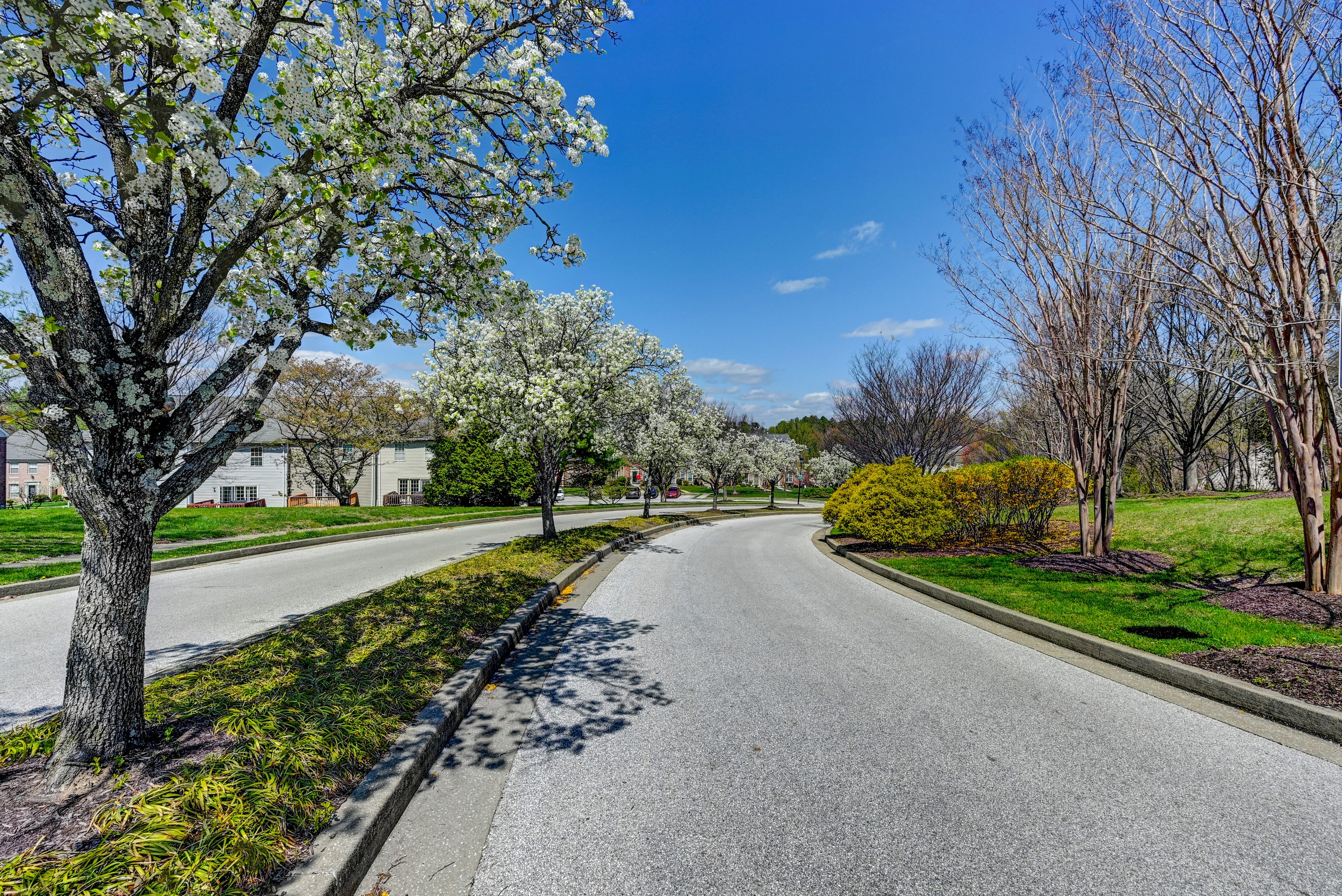  CROMWELL STATION - 物件實景