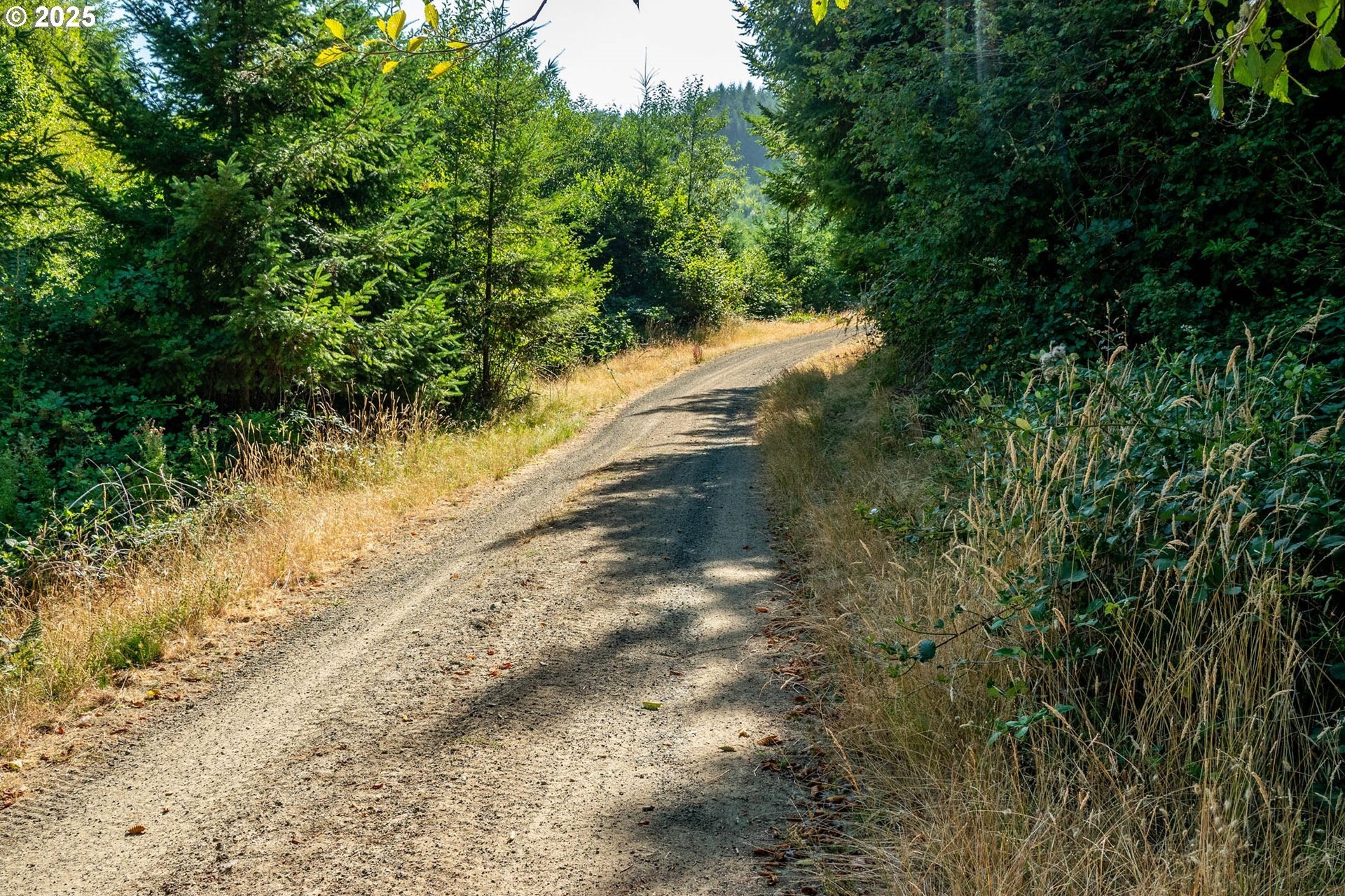 Myrtle Point, Oregon, 97458, United States, 3 Bedrooms Bedrooms, ,3 BathroomsBathrooms,Residential,For Sale,1975614