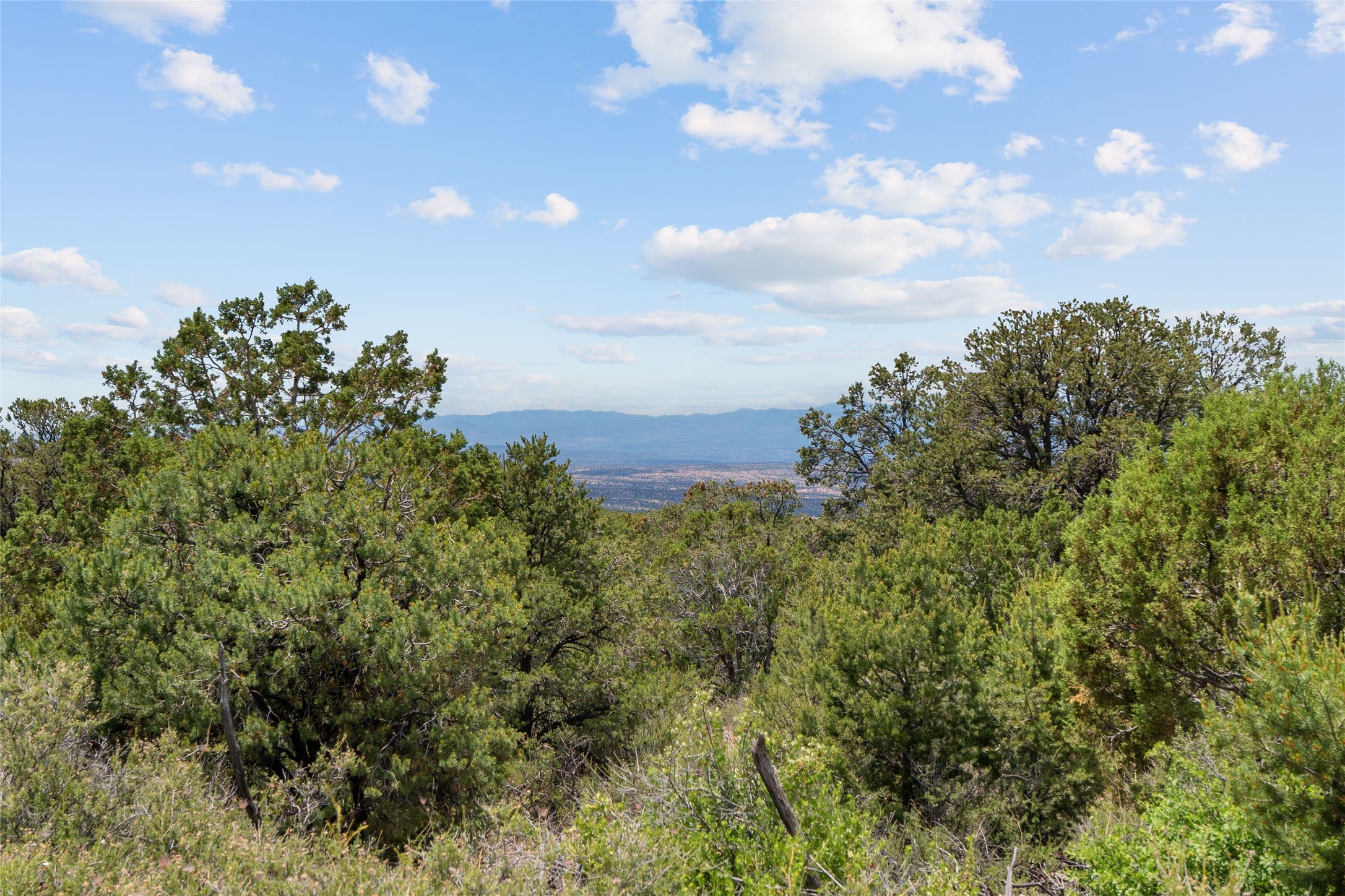  47 Pacheco Meadow Lane - 物件實景