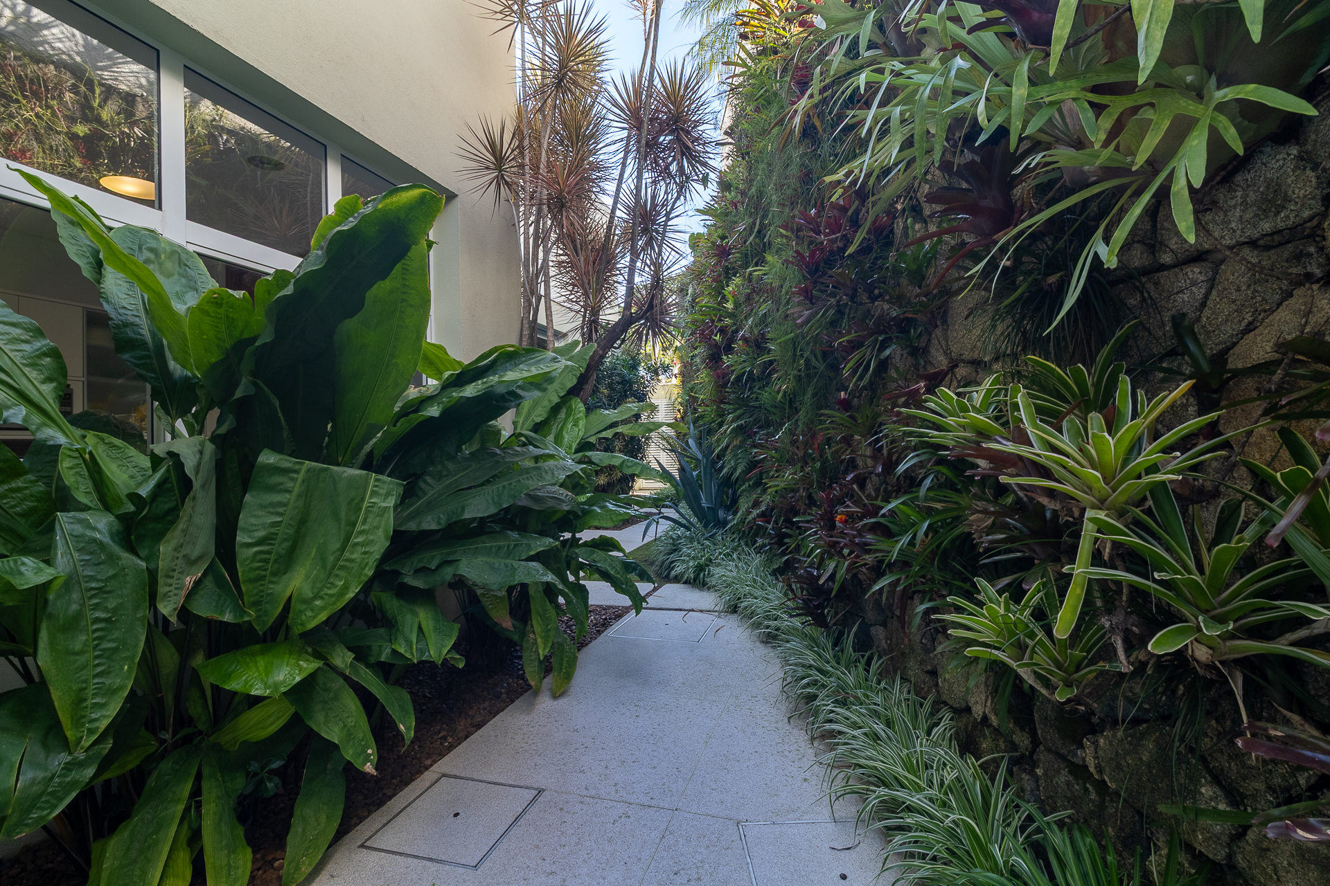  Elegant residence near Hospital Albert Einstein - 物件實景