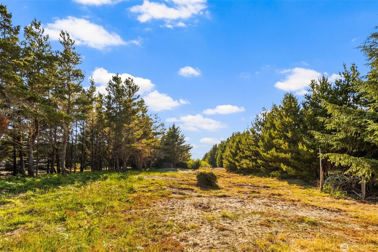 Long Beach, Washington, 98631, United States, 8 Bedrooms Bedrooms, ,6 BathroomsBathrooms,Residential,For Sale,1976396