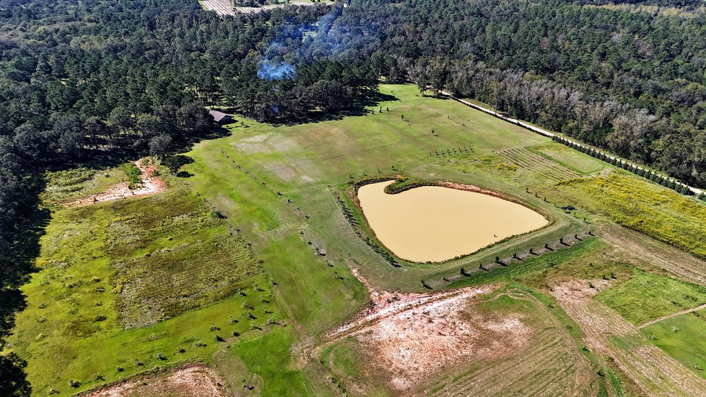 Pavo, Georgia, 31778, United States, ,Residential,For Sale,1988640