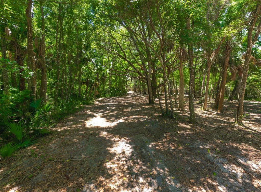 Palm Coast, Florida, 32137, United States, ,Land,For Sale,2000398