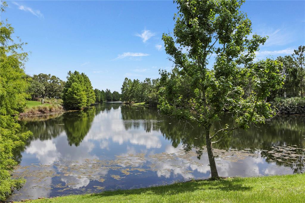 Orlando, Florida, 32814, United States, 5 Bedrooms Bedrooms, ,7 BathroomsBathrooms,Residential,For Sale,2000434