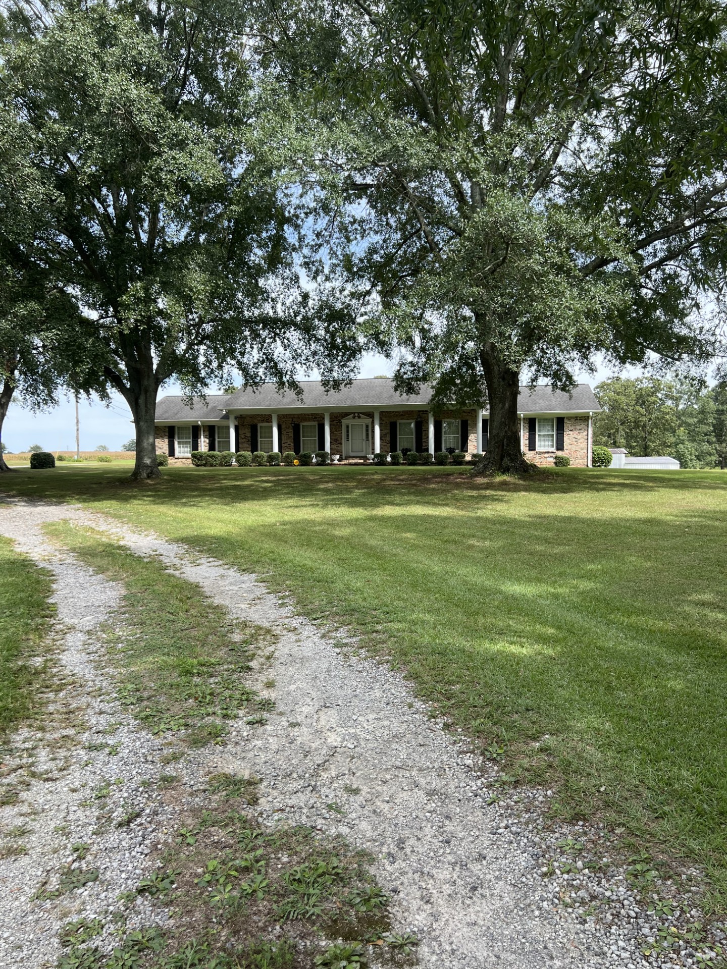 Moulton, Alabama, 35650, United States, 3 Bedrooms Bedrooms, ,2 BathroomsBathrooms,Residential,For Sale,1981747