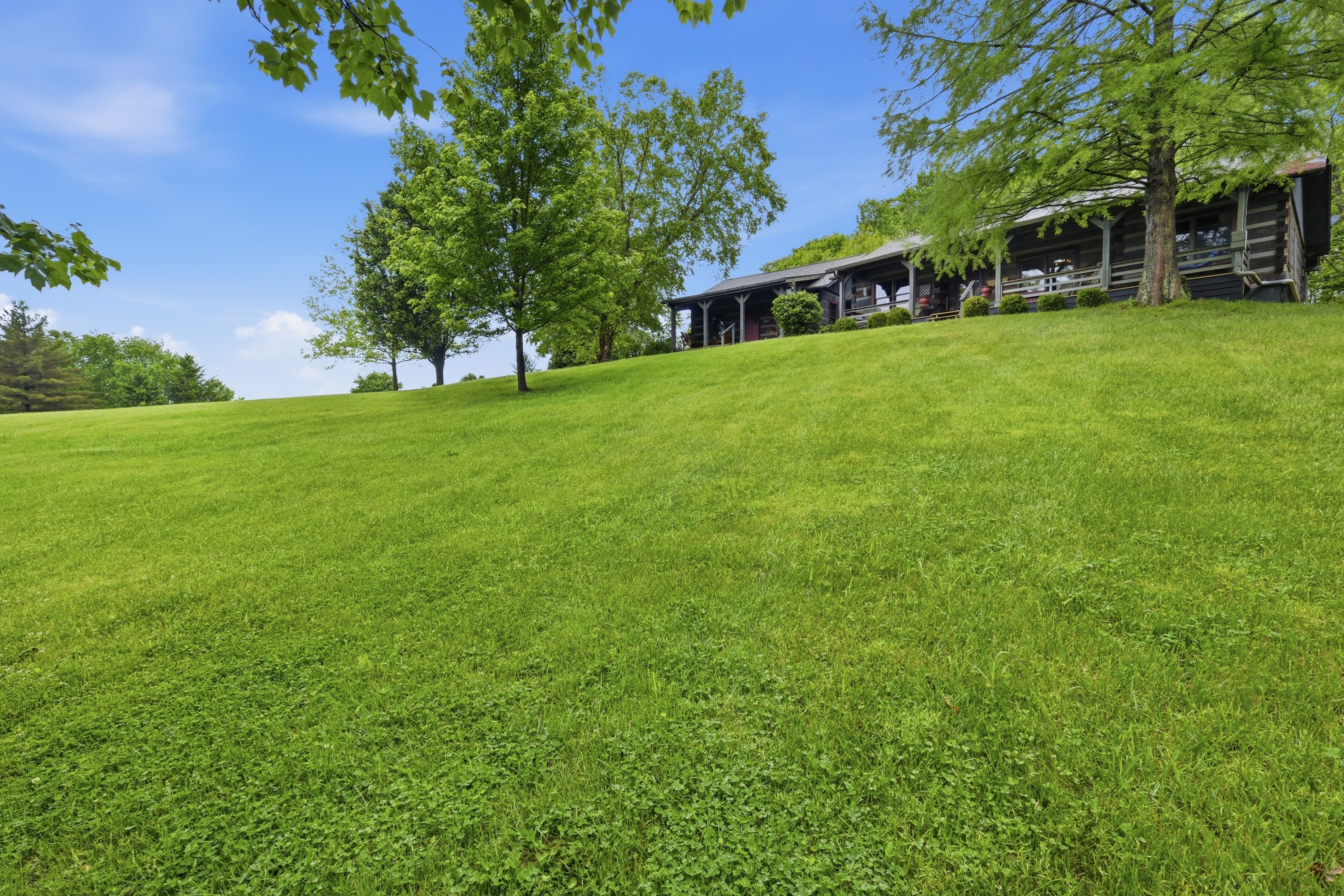  16900 Homestead Trce, Fisherville, KY 40023 - 物件實景