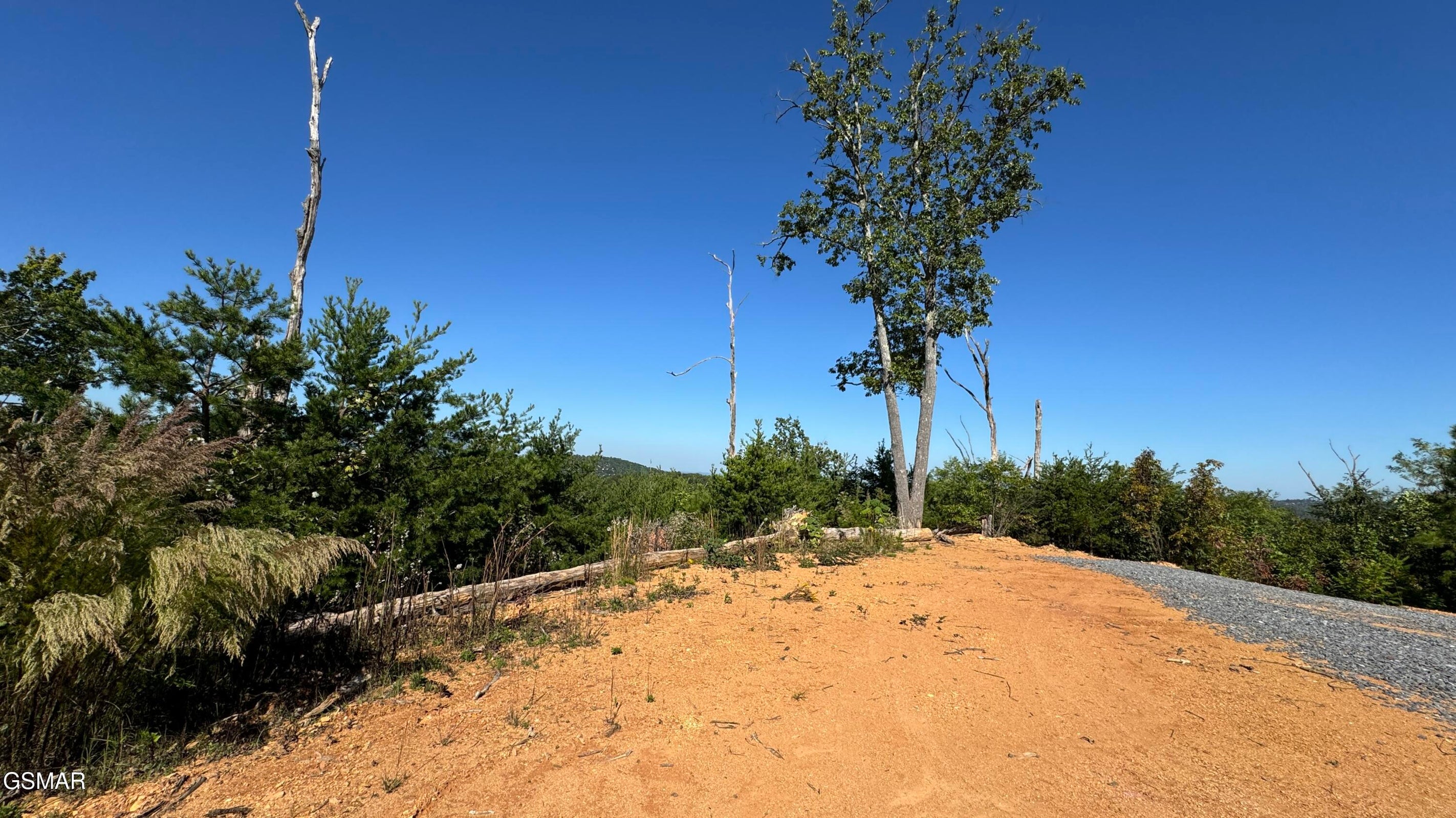 Gatlinburg, Tennessee, 37738, United States, ,Land,For Sale,1973768